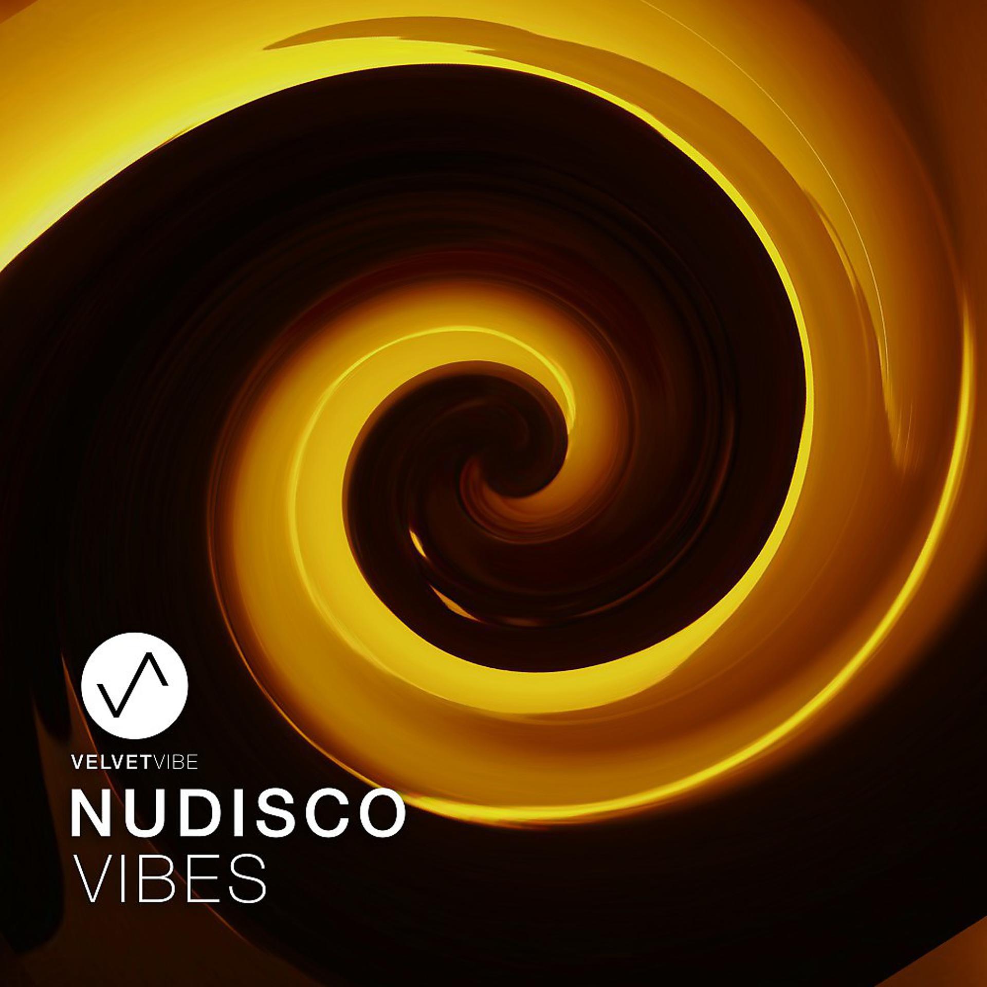 Постер альбома Nudisco Vibes, Vol. 1