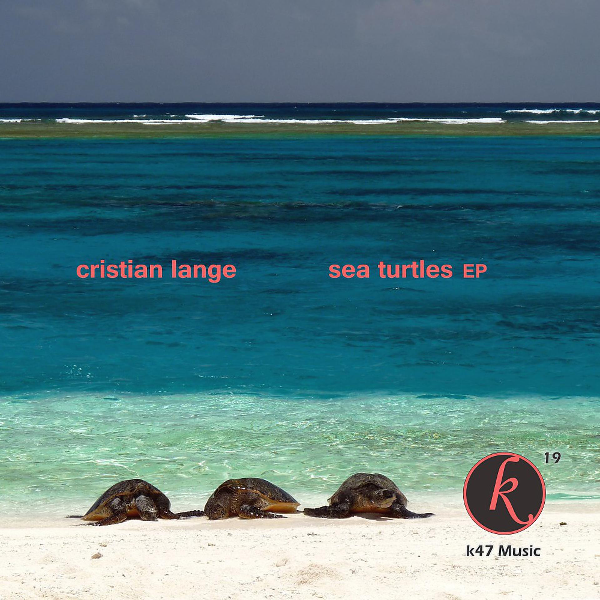 Постер альбома Sea Turtles - EP