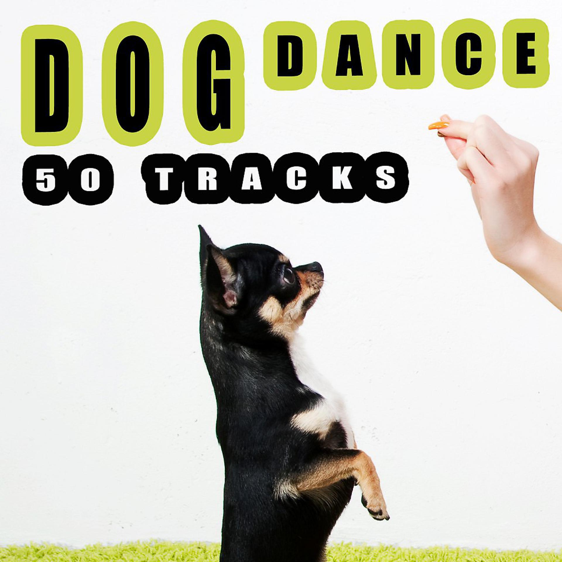 Постер альбома Dog Dance - 50 Tracks