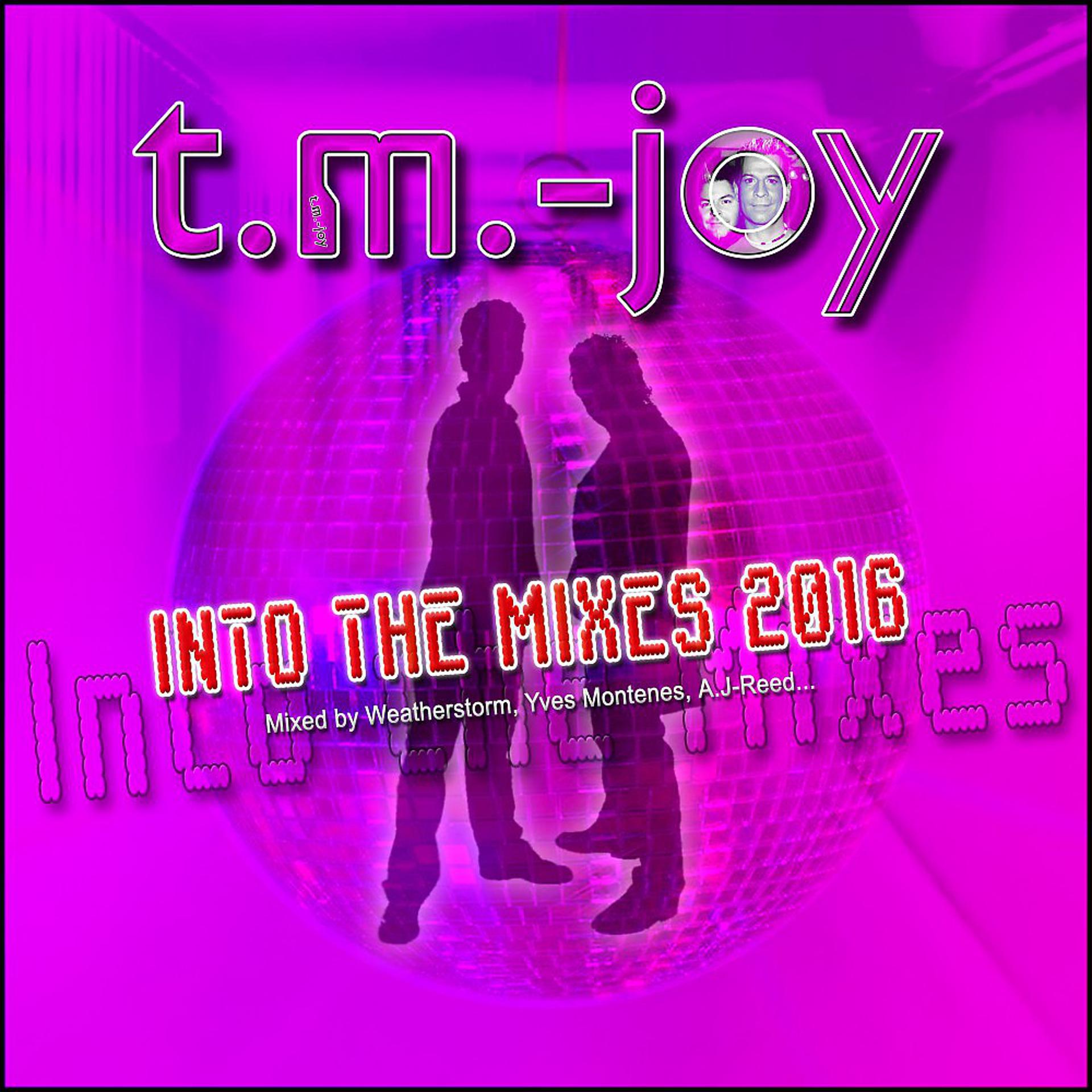 Постер альбома Into the Mixes 2016