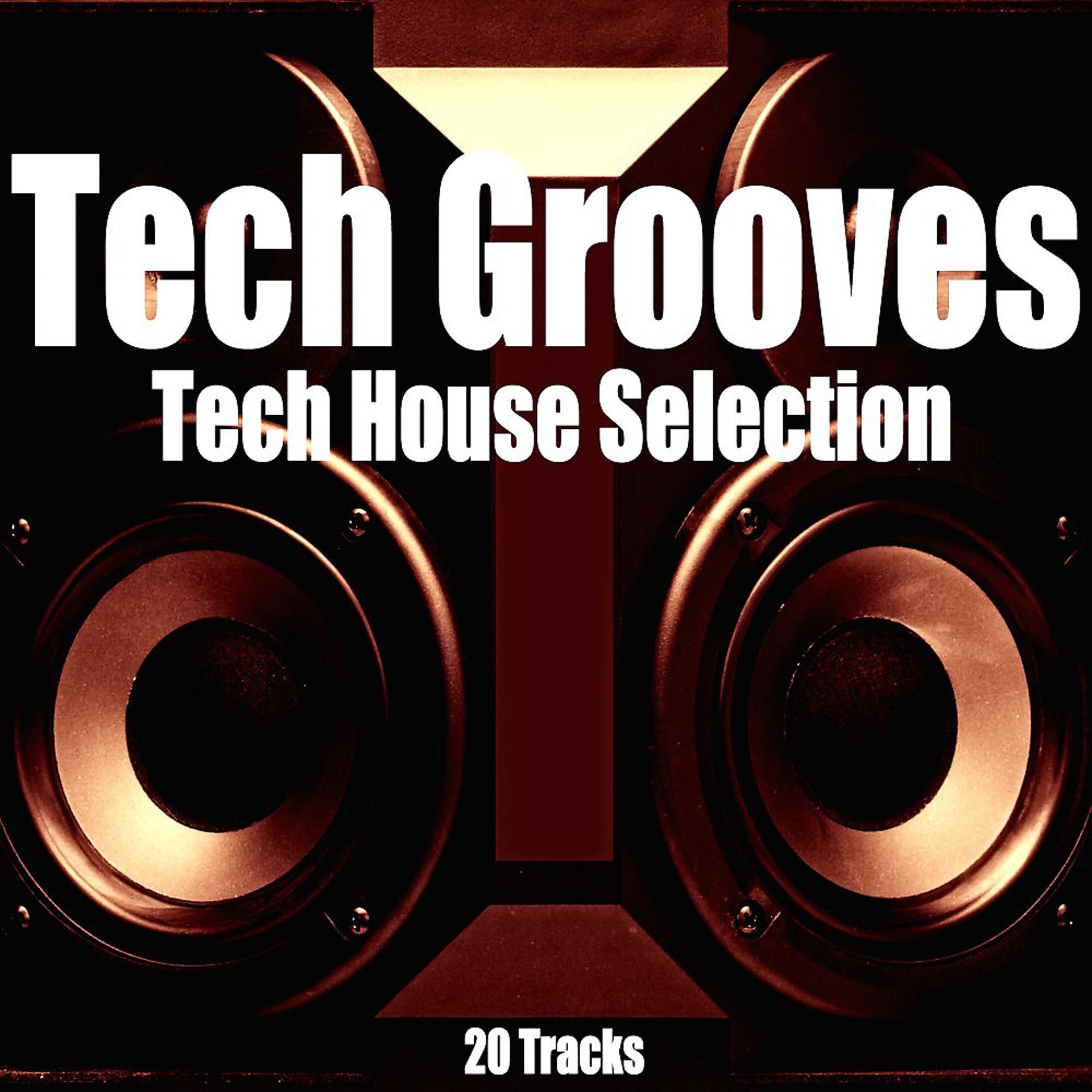 Постер альбома Tech Grooves (Tech House Selection)