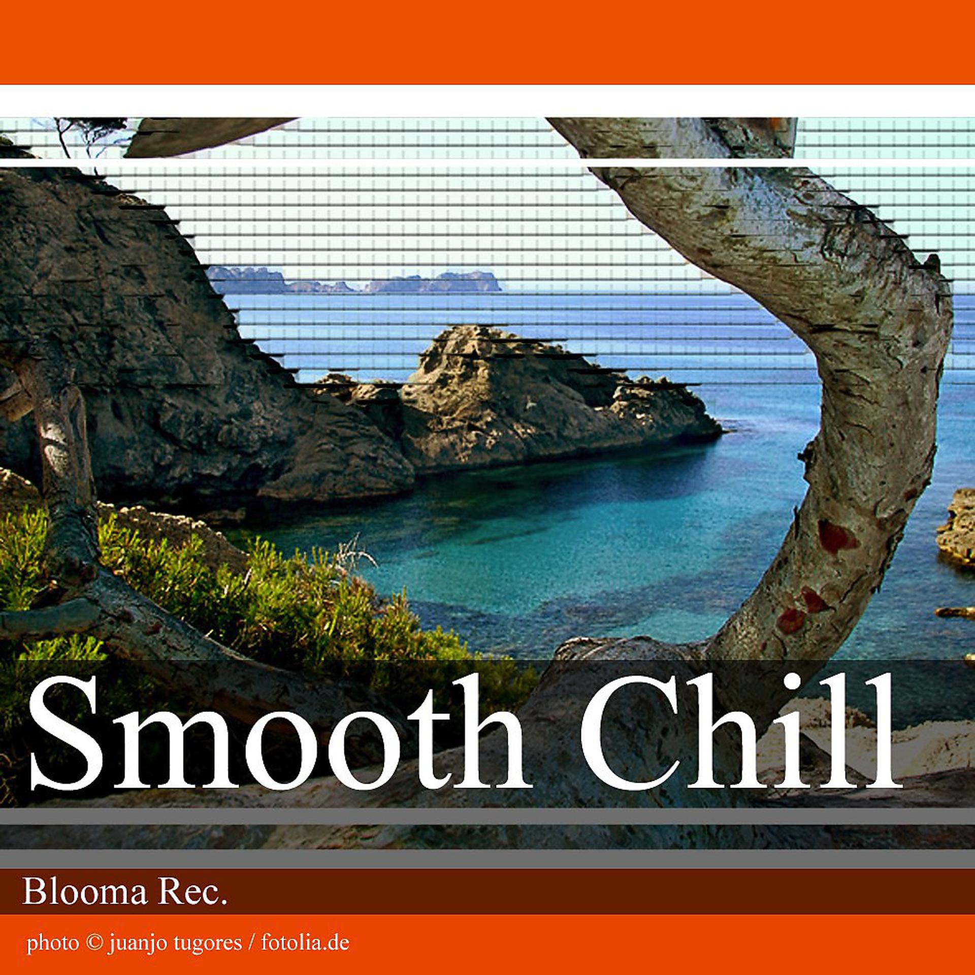 Постер альбома Smooth Chill