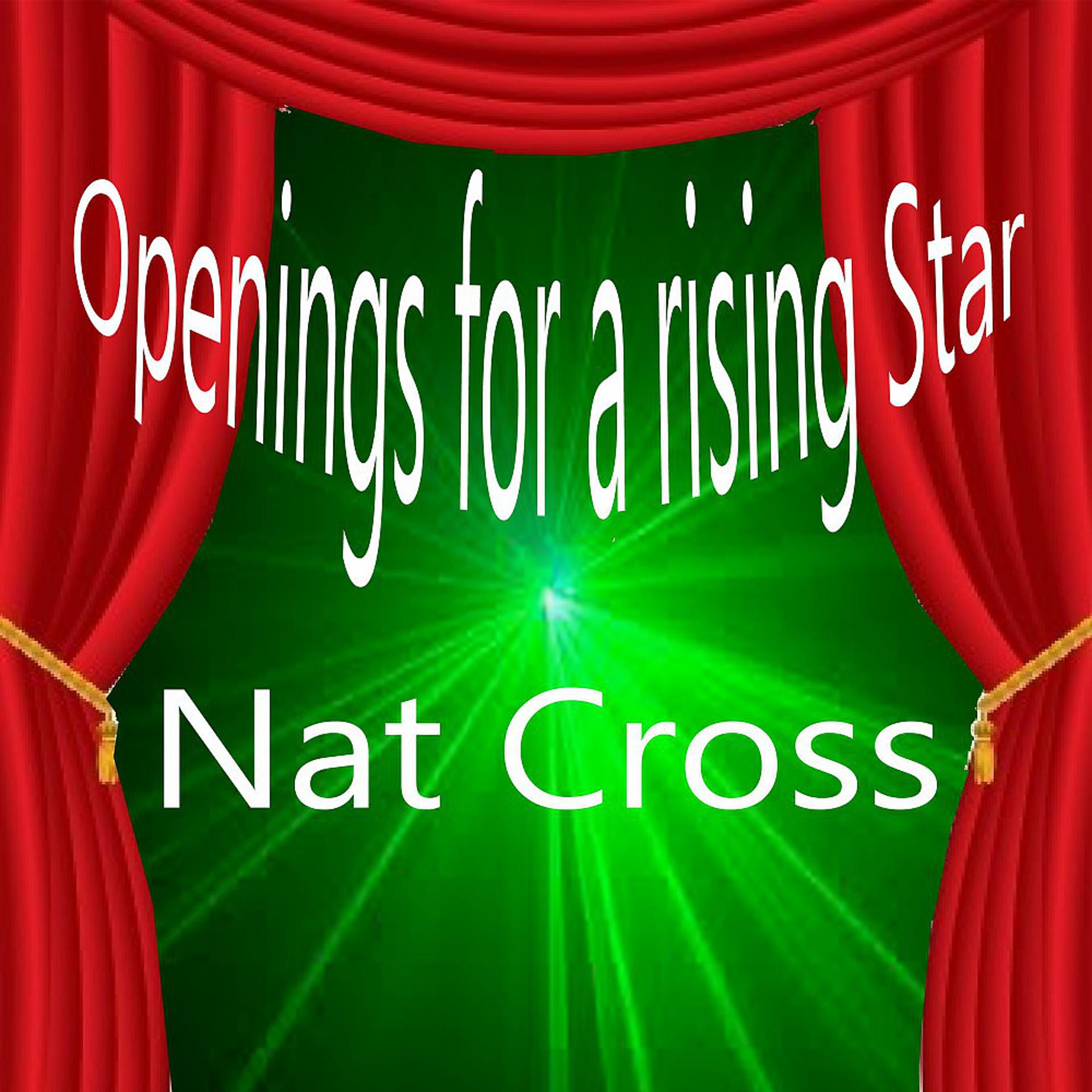 Постер альбома Openings for a Rising Star