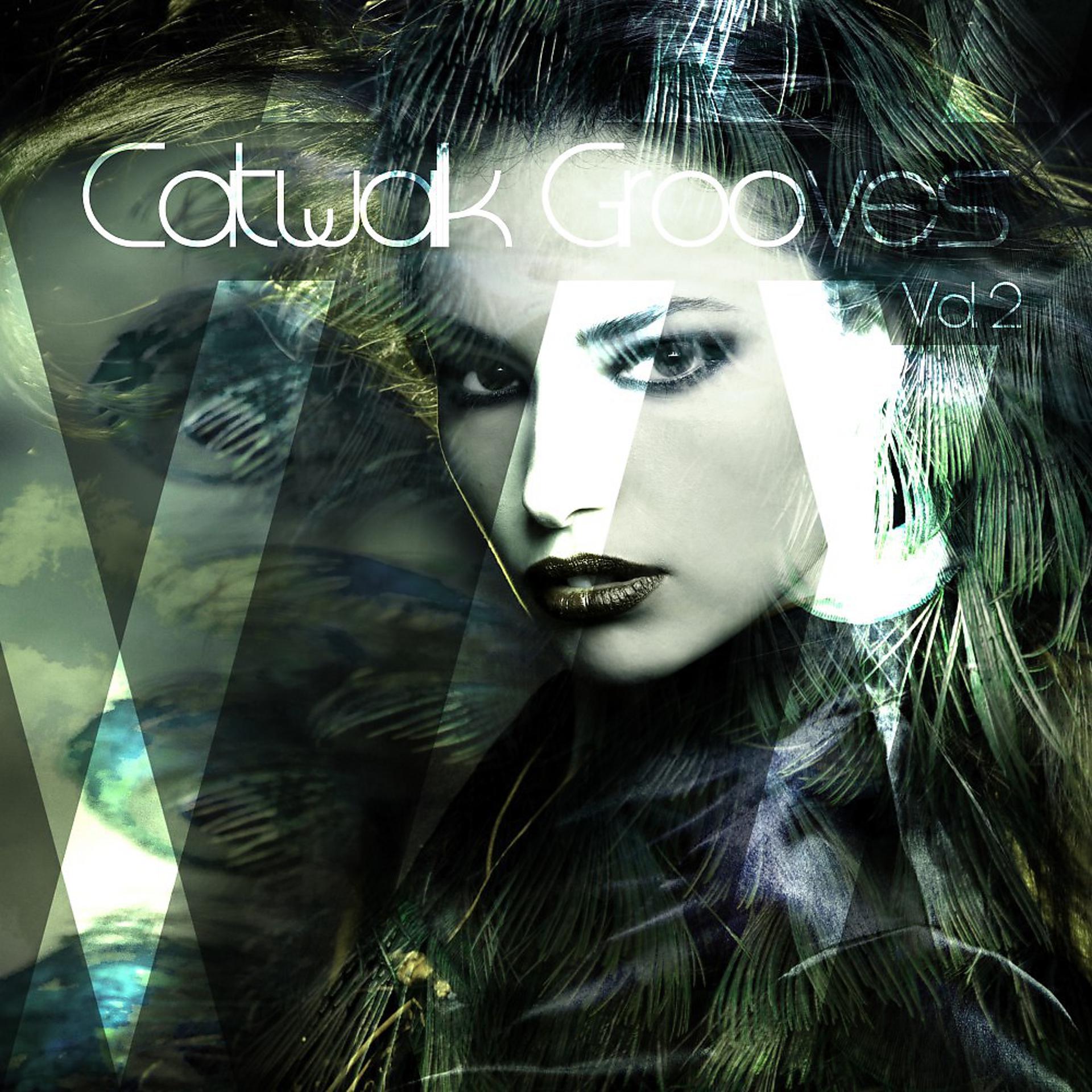 Постер альбома Catwalk Grooves, Vol. 2