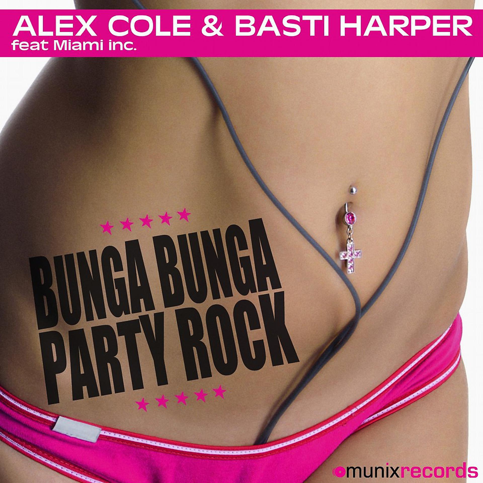 Постер альбома Bunga Bunga Party Rock