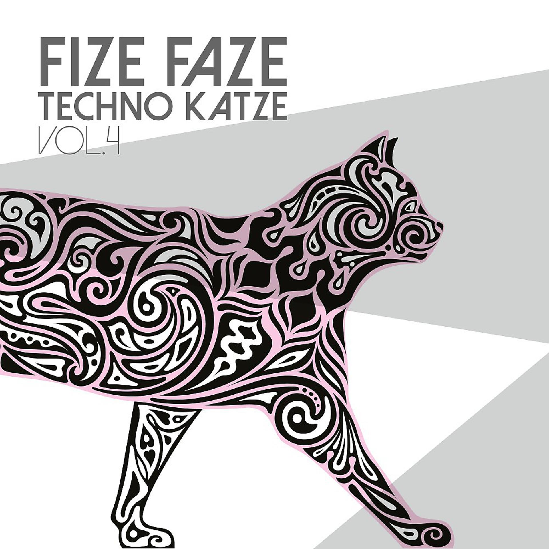 Постер альбома Fize Faze Techno Katze, Vol. 4