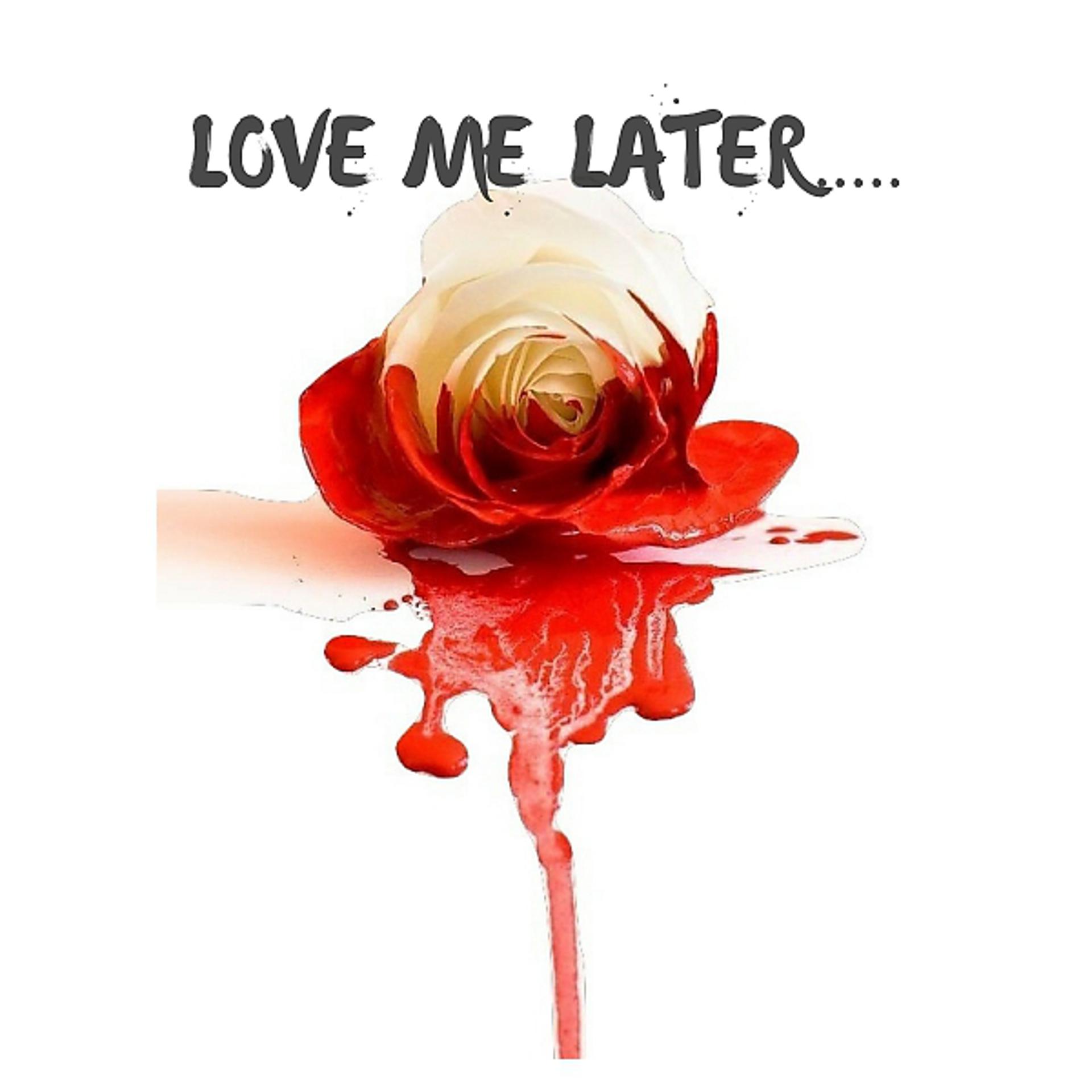 Постер альбома Love Me Later