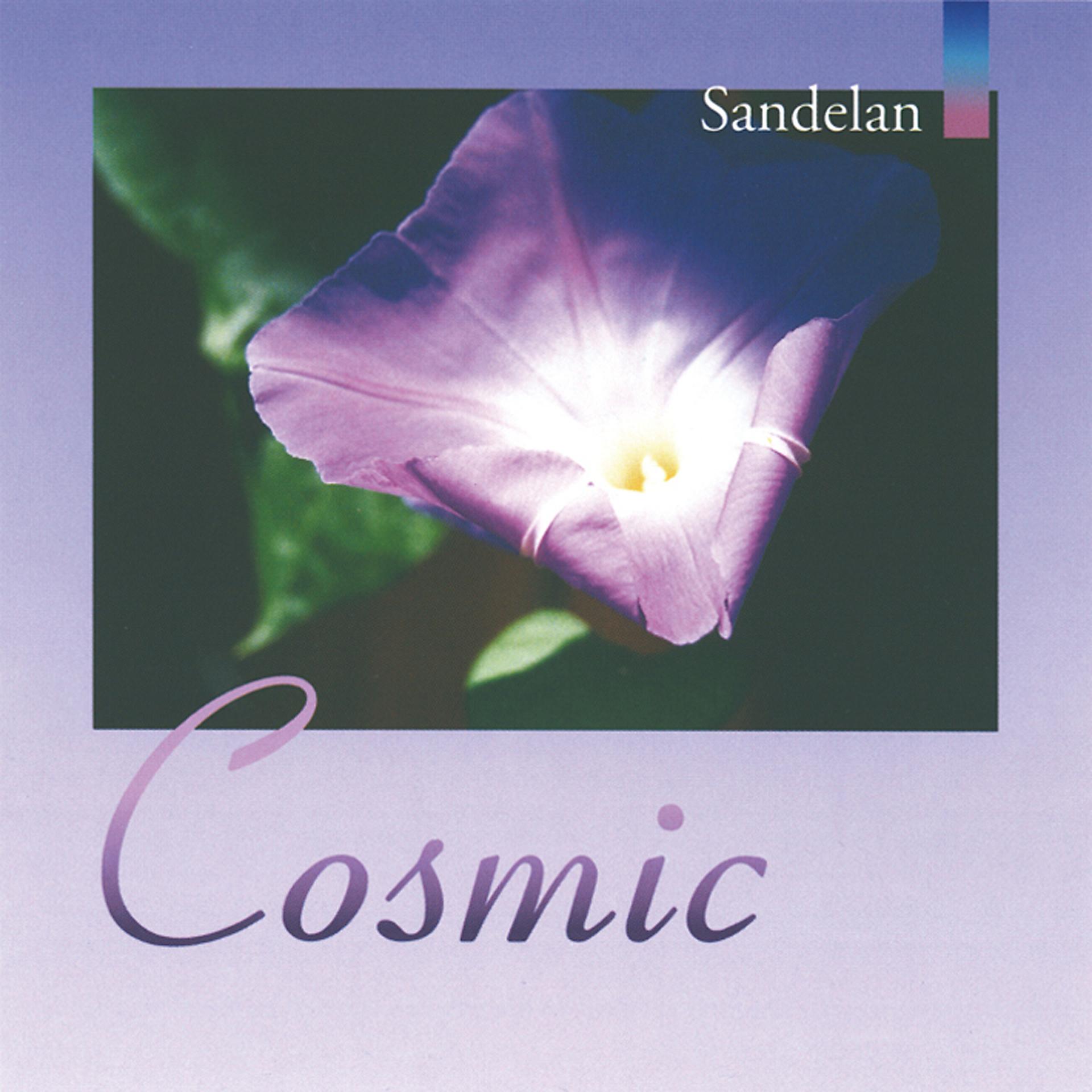 Постер альбома Cosmic