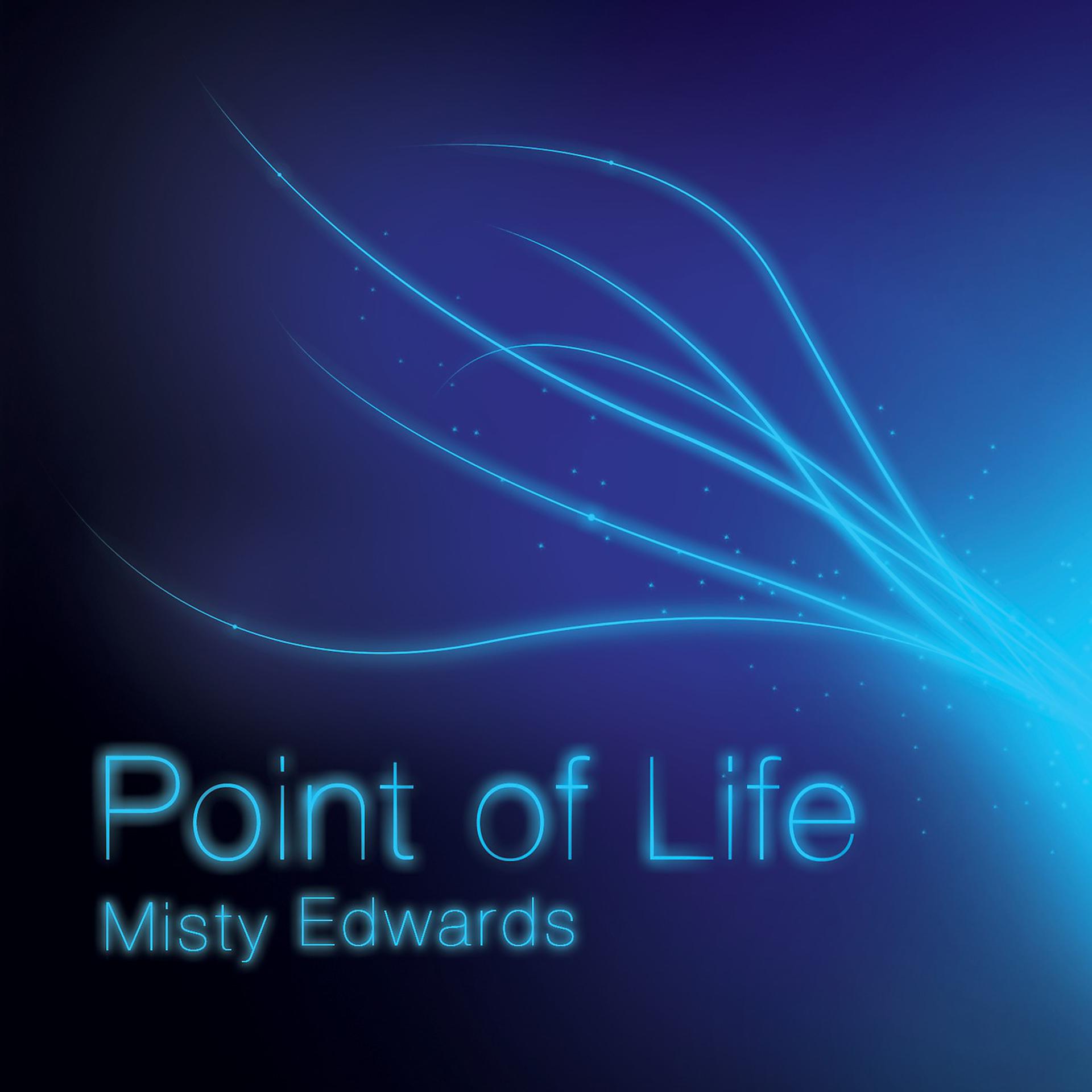 Постер альбома Point of Life