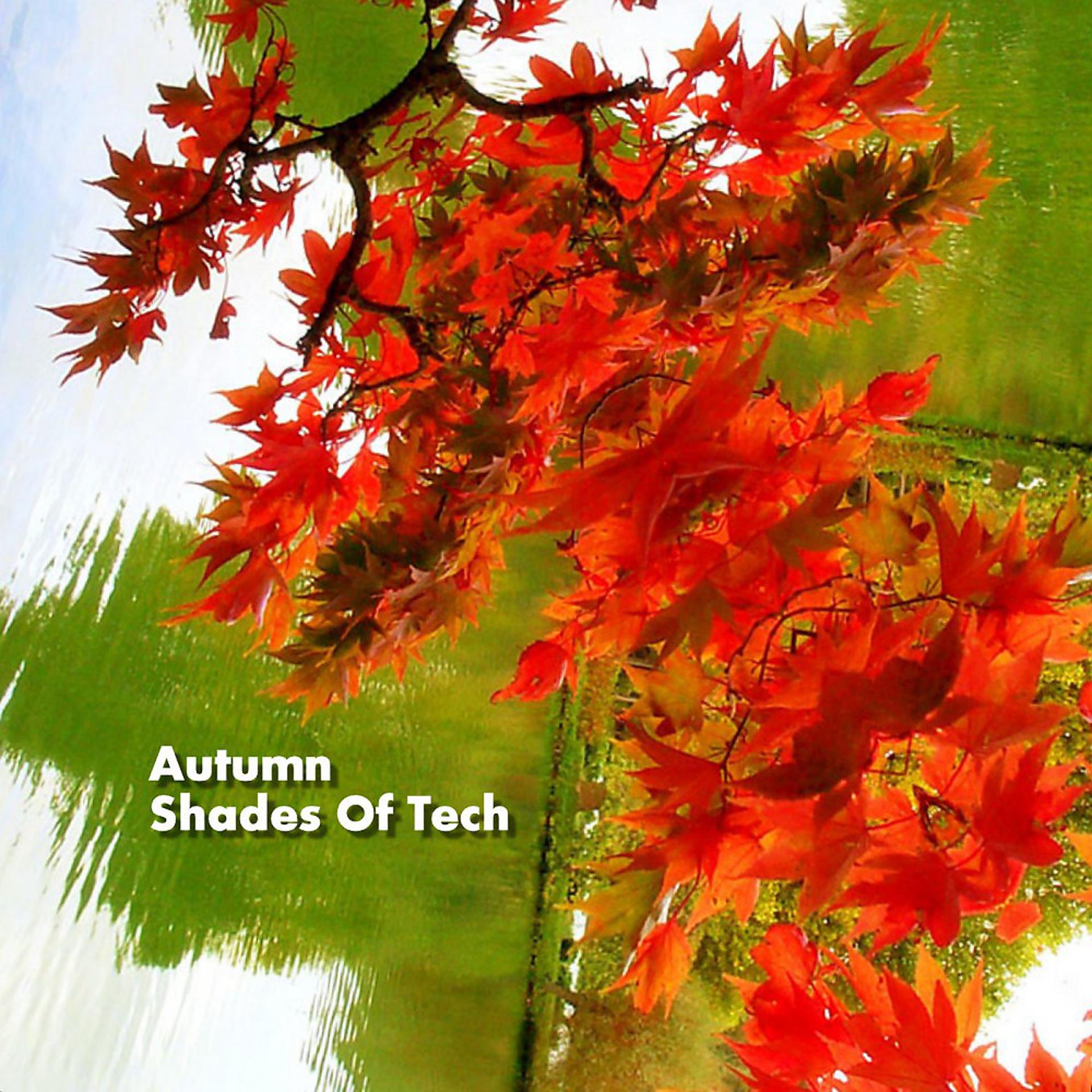 Постер альбома Autumn Shades of Tech