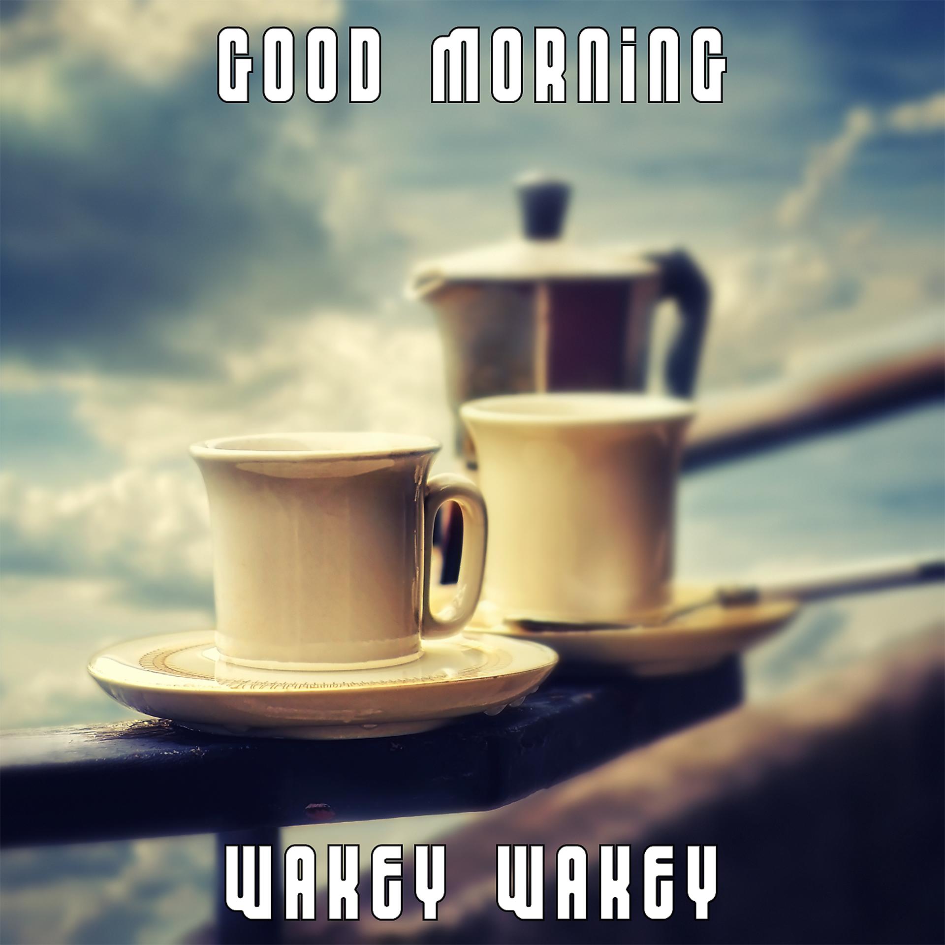Постер альбома Good Morning Wakey Wakey