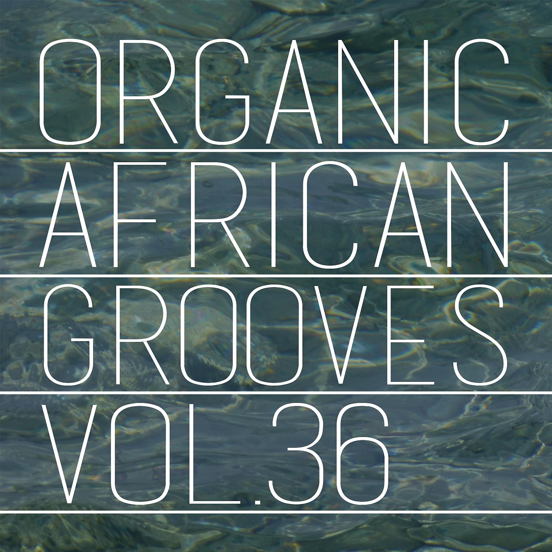 Постер альбома Organic African Grooves, Vol.36