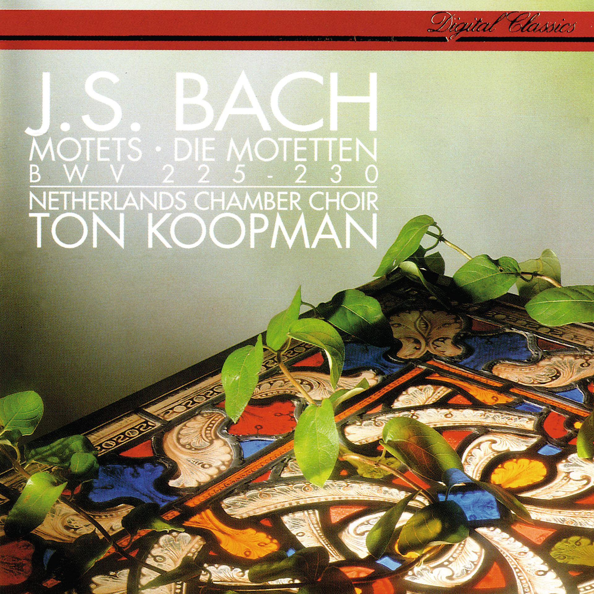 Постер альбома Bach, J.S.: 6 Motets