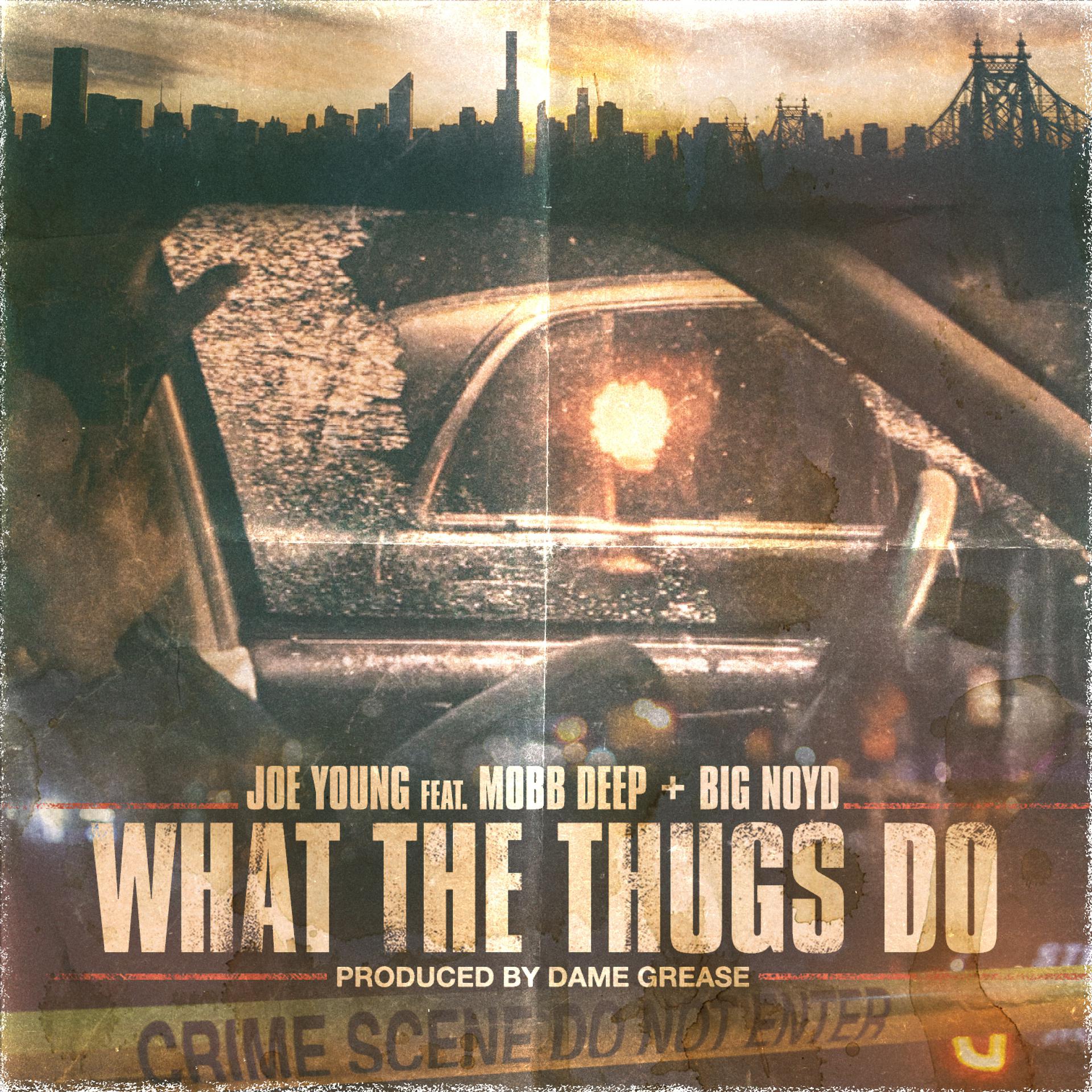 Постер альбома What the Thugs Do (feat. Mobb Deep & Big Noyd)