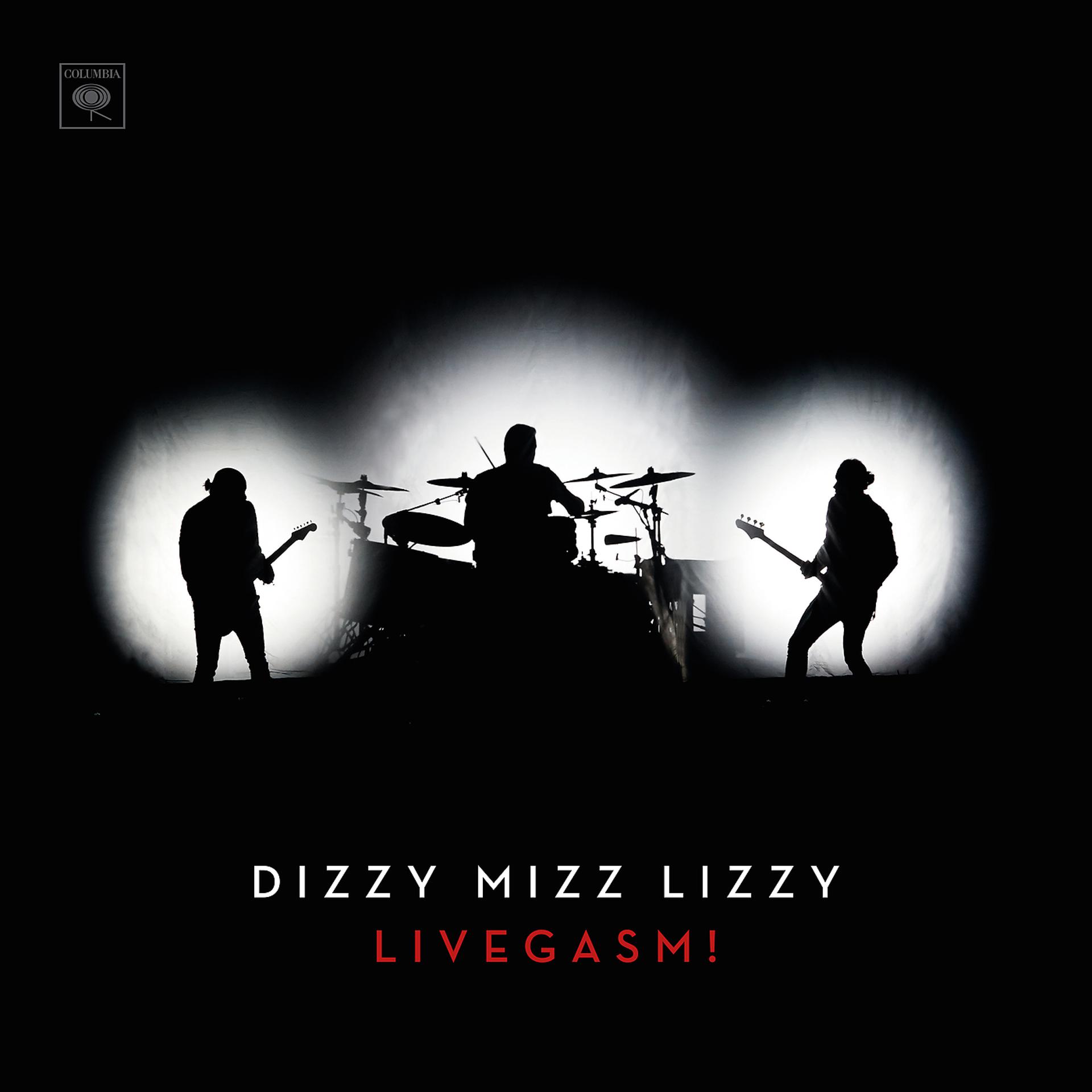 Постер альбома Livegasm!