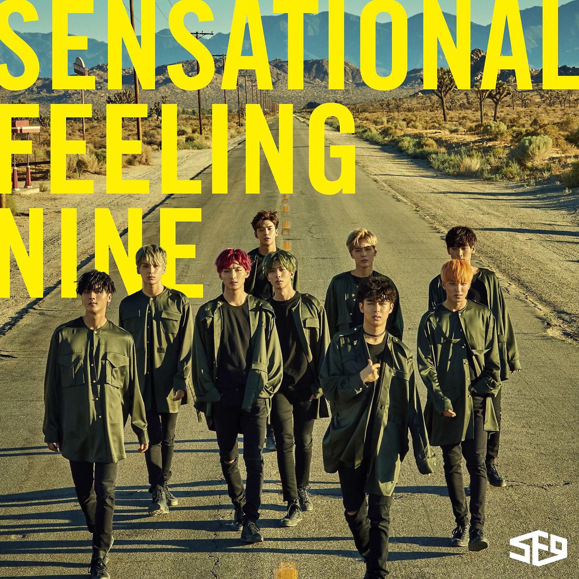 Постер альбома Sensational Feeling Nine