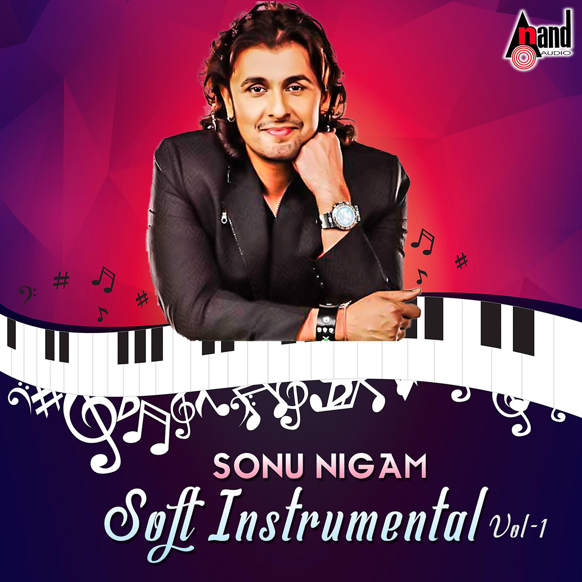 Постер альбома Soft Instrumental Sonu Nigam, Vol. 1
