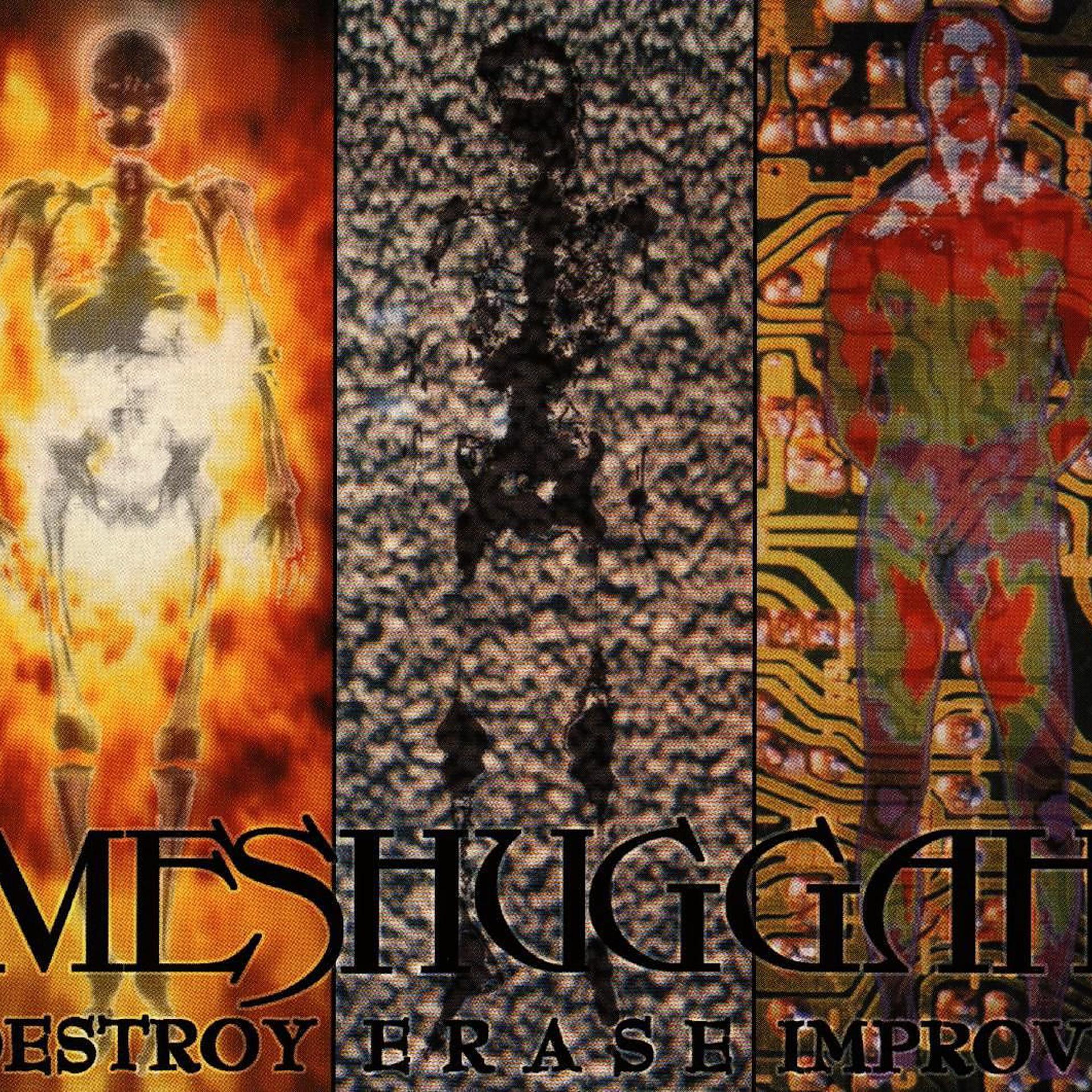 Постер альбома Destroy Erase Improve (Reloaded)