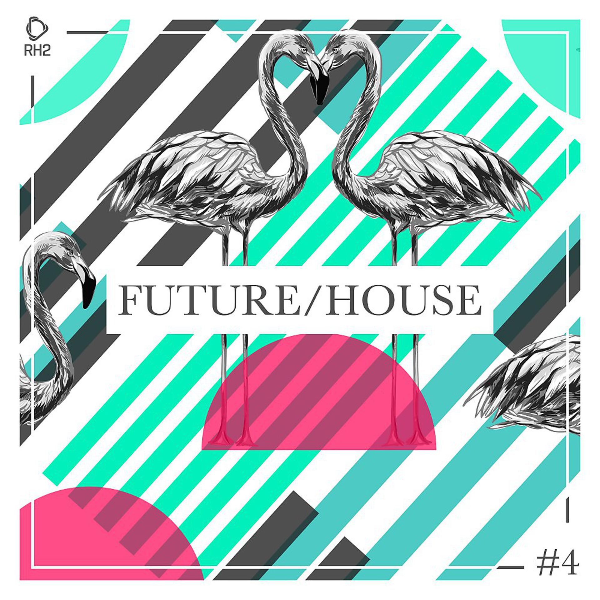 Постер альбома Future/House #4