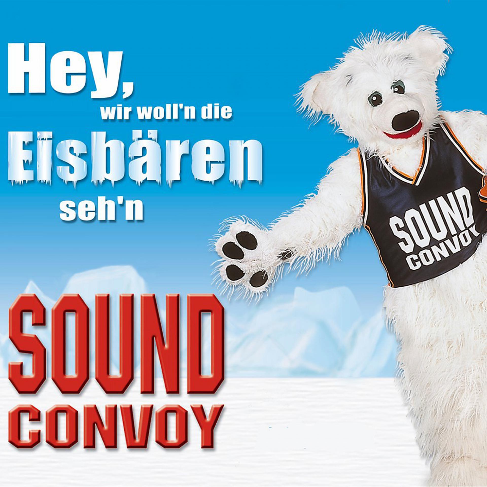 Постер альбома Hey, wir woll'n die Eisbären sehn