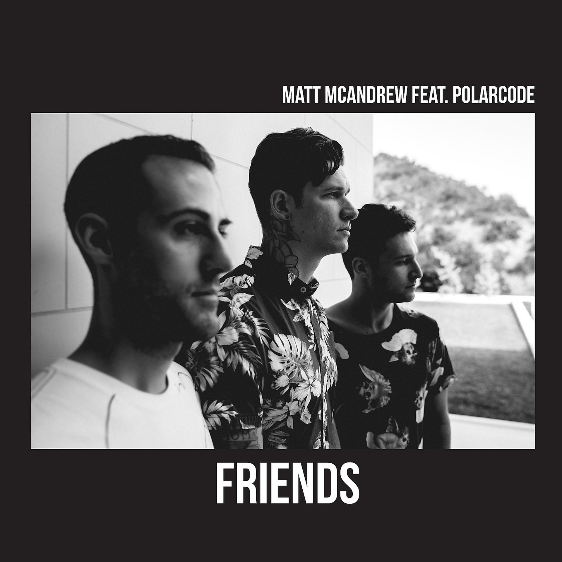 Постер альбома Friends (feat. Polarcode)