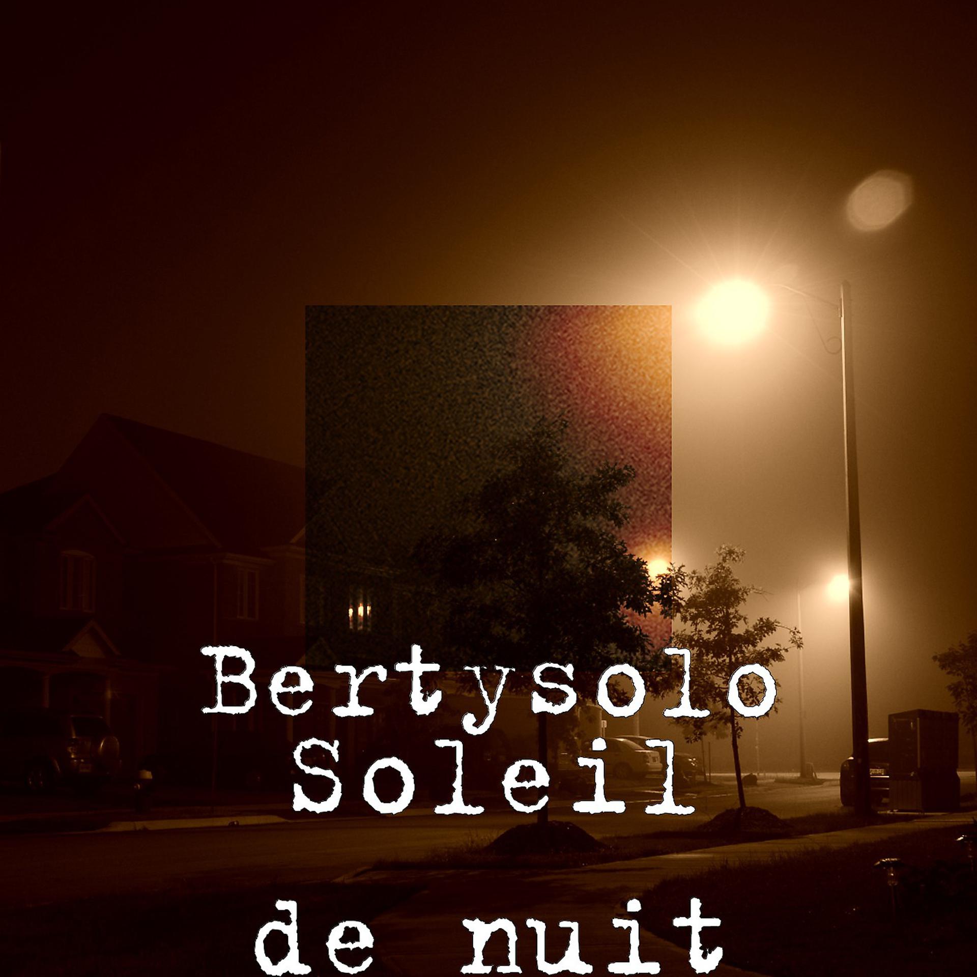 Постер альбома Soleil de nuit