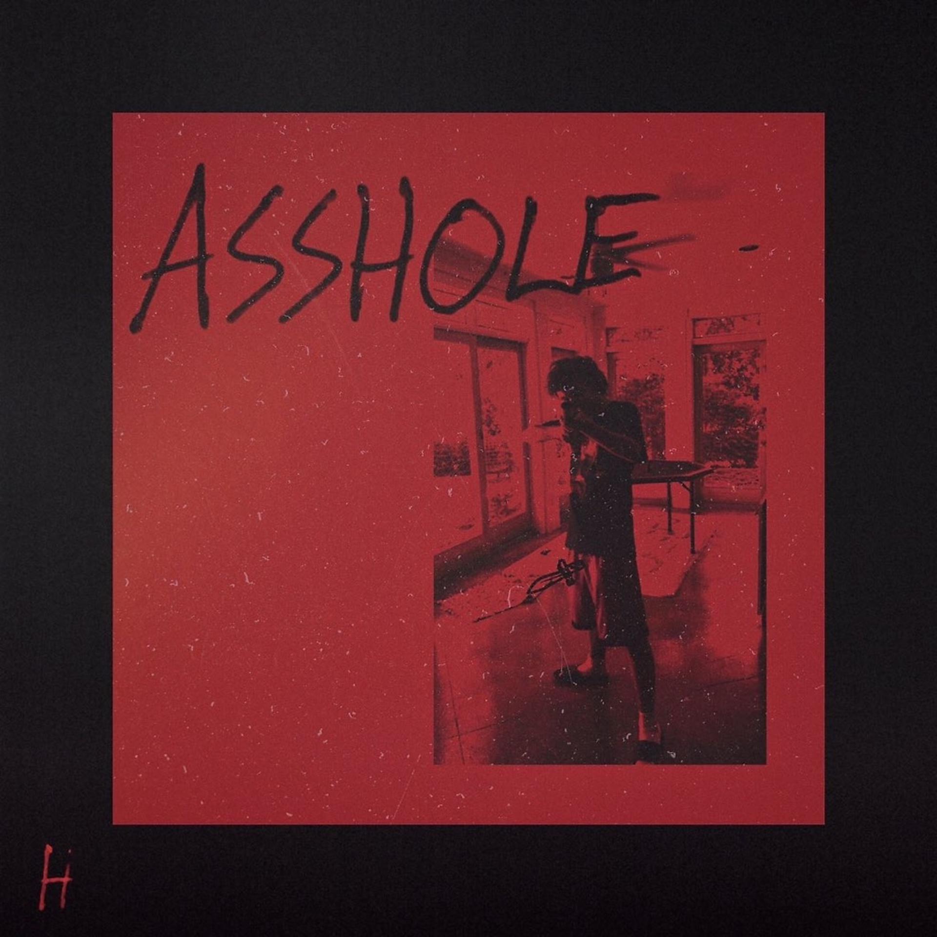 Постер альбома Asshole
