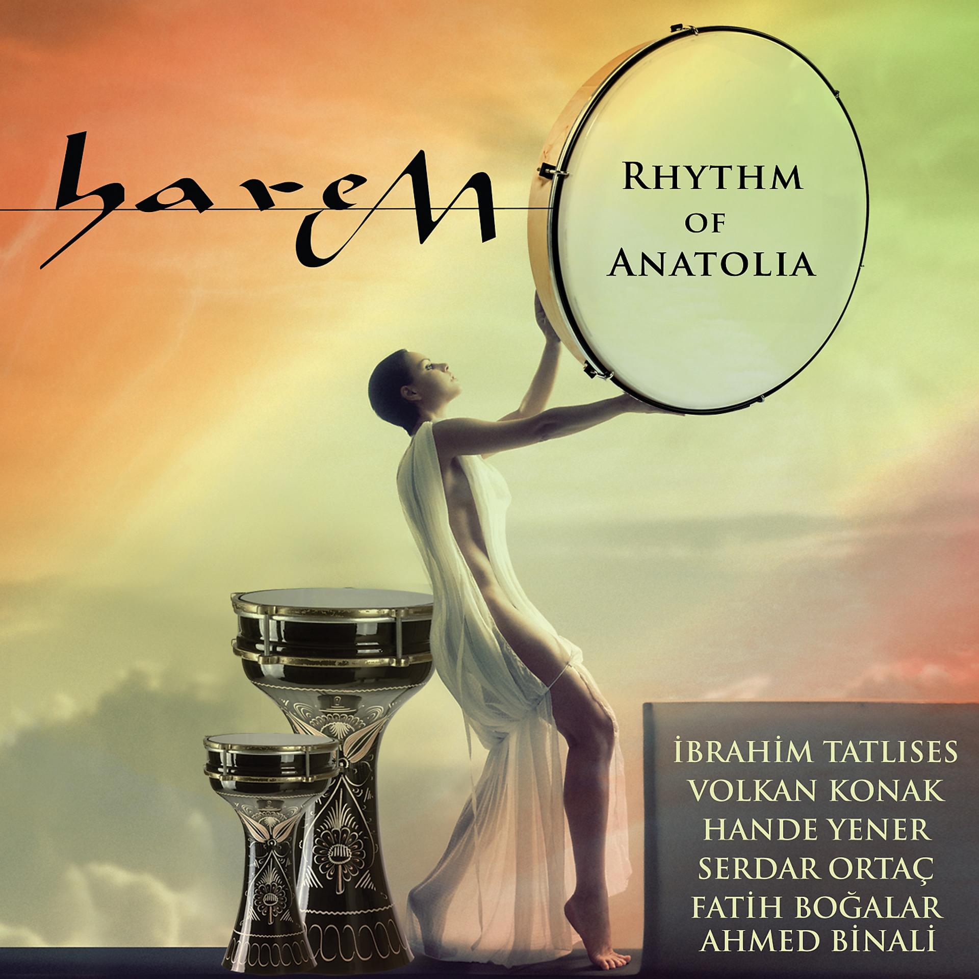 Постер альбома Harem