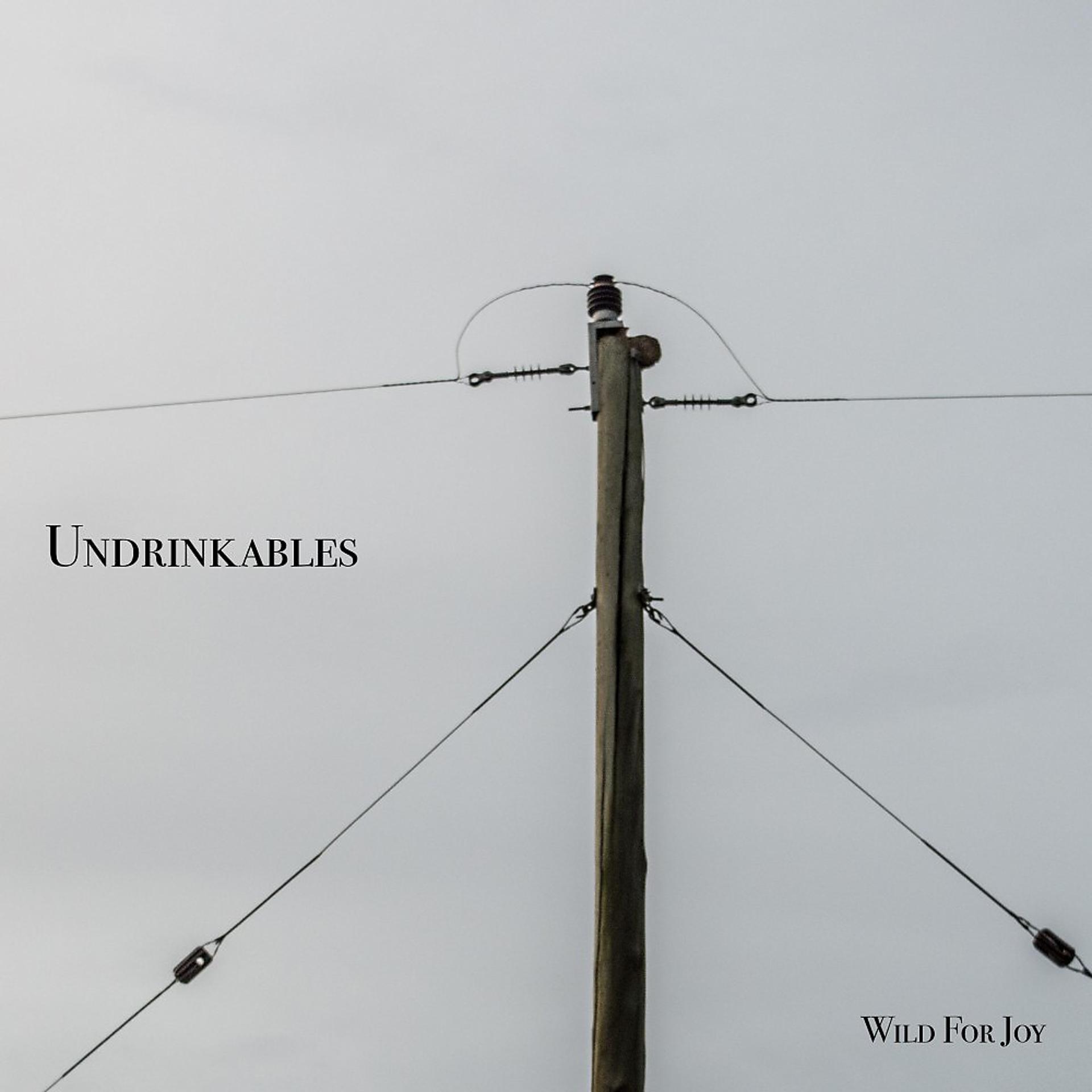 Постер альбома Undrinkables