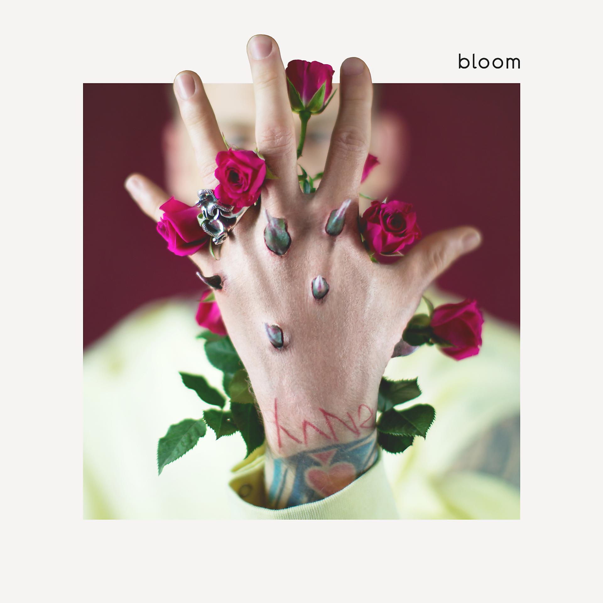 Постер альбома bloom