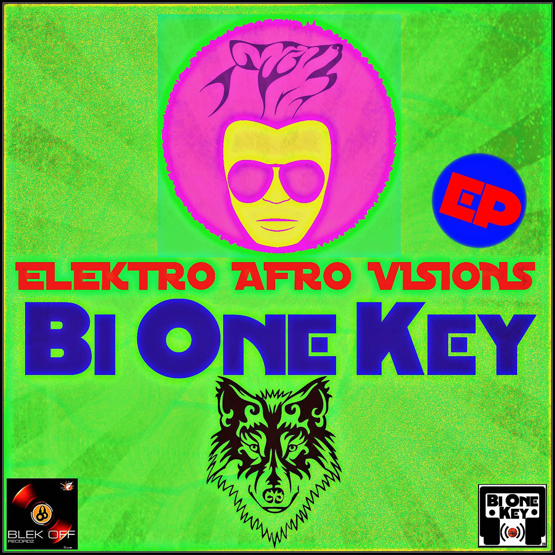 Постер альбома Elektro Afro Vision