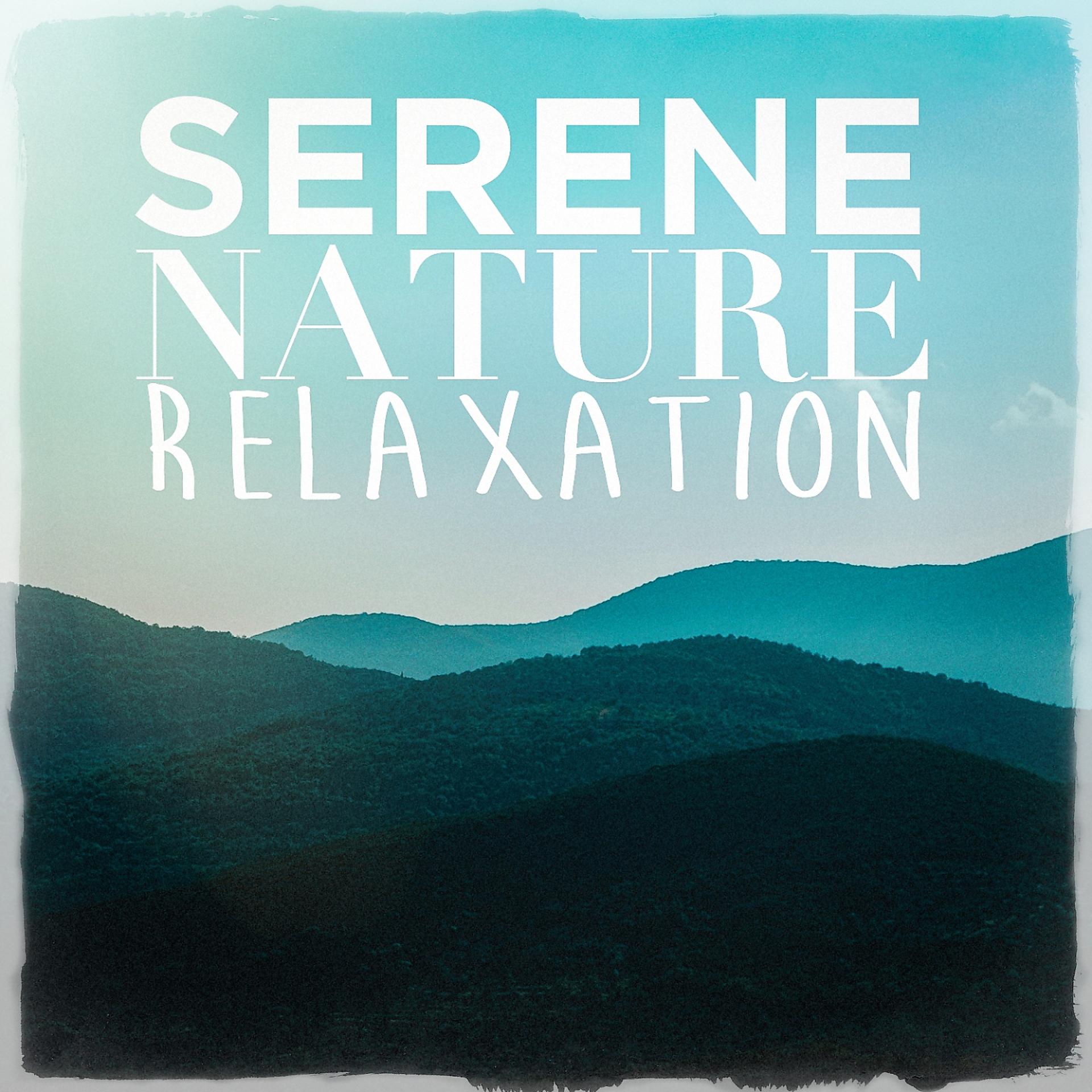 Постер альбома Serene Nature Relaxation