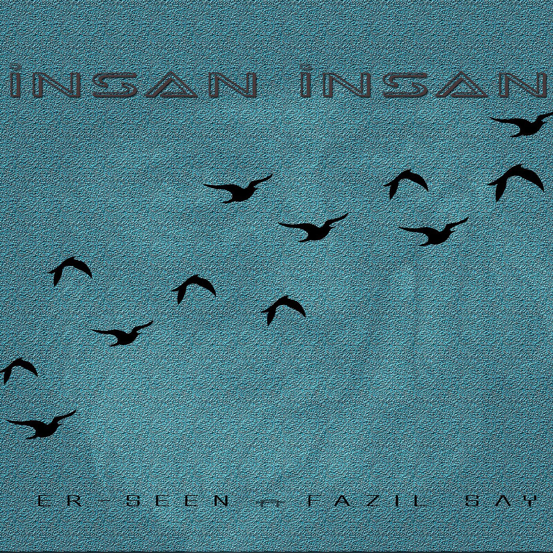 Постер альбома İnsan İnsan (feat. Fazıl Say)