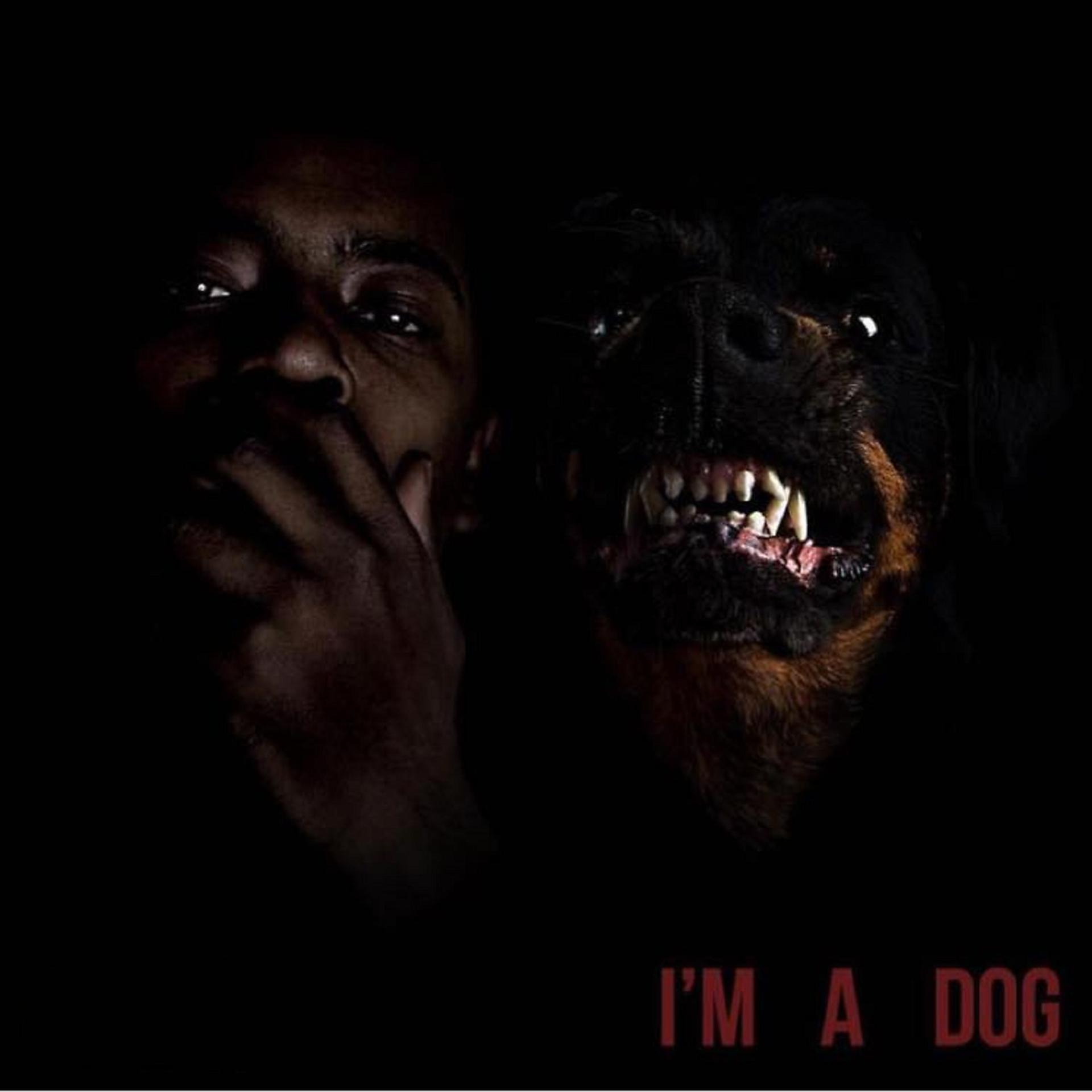 Постер альбома Im a Dog