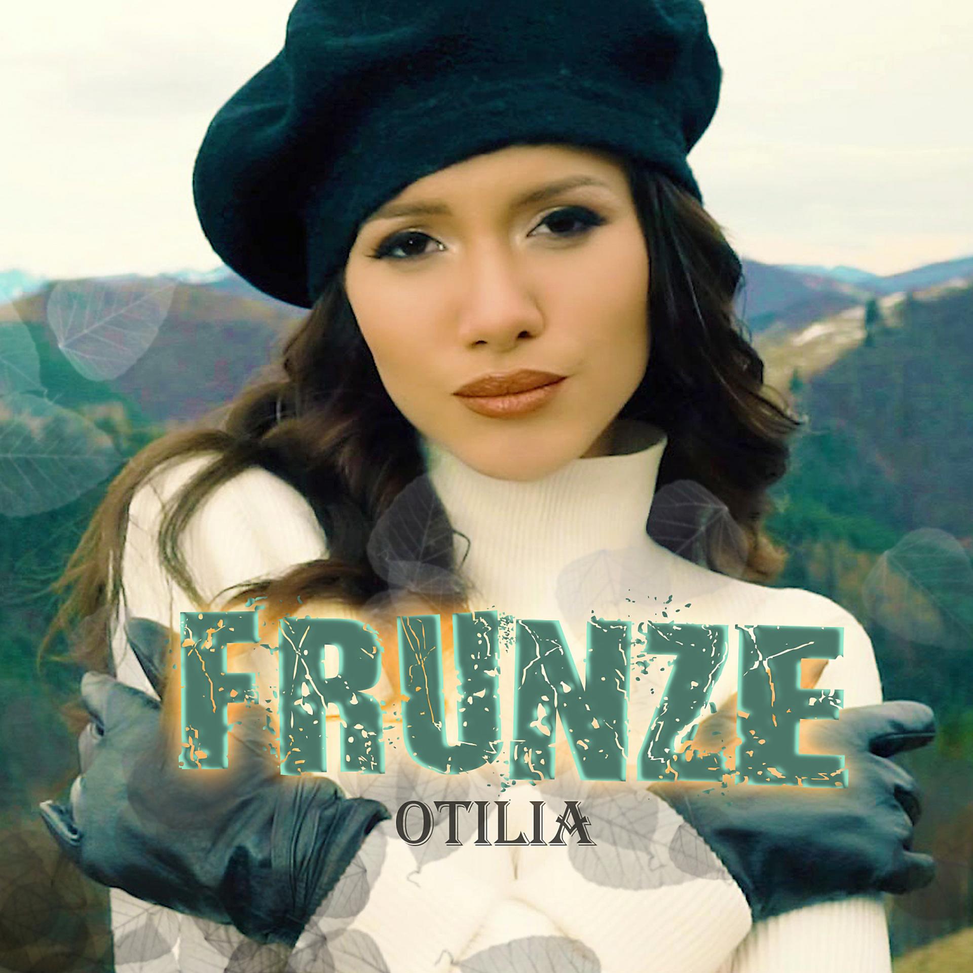 Постер альбома Frunze