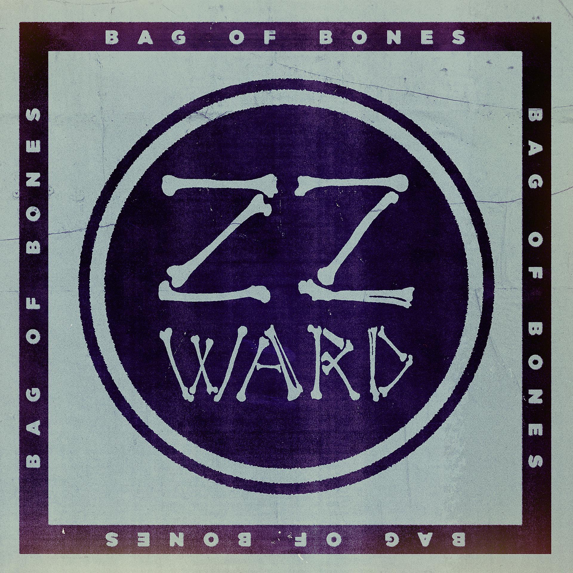 Постер альбома Bag of Bones