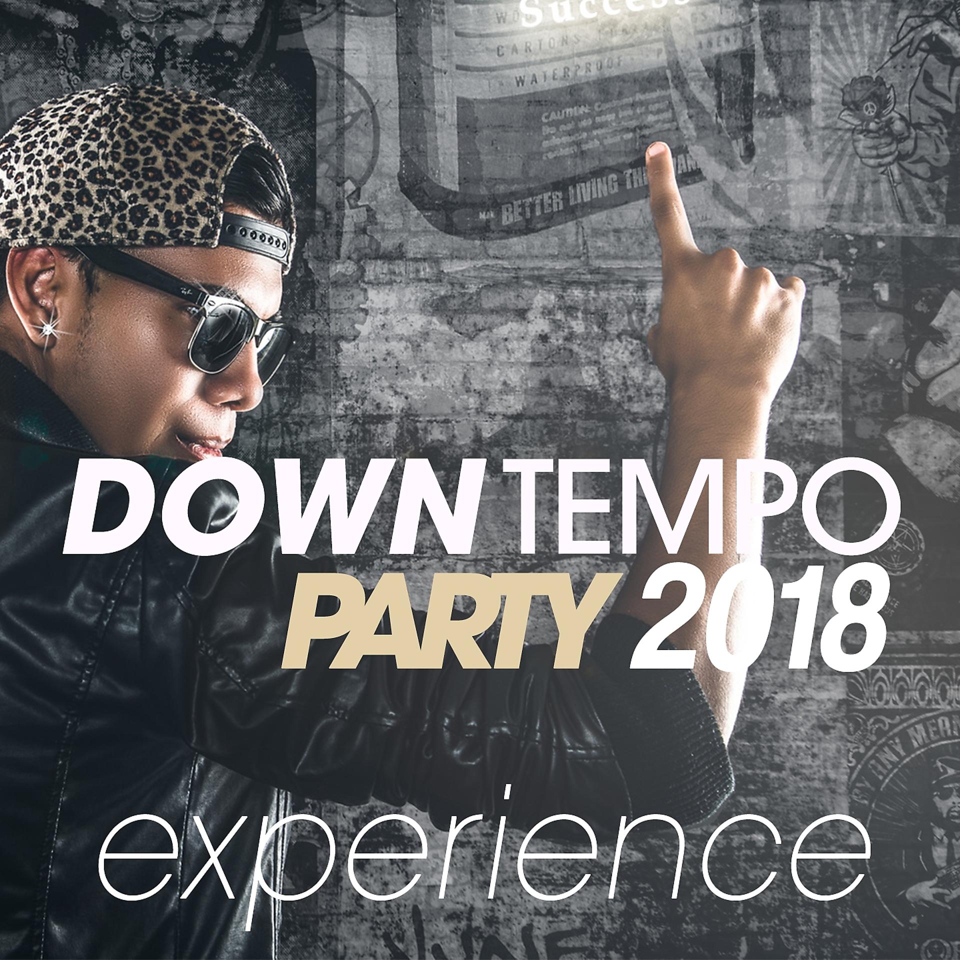 Постер альбома Downtempo Party 2018 Experience