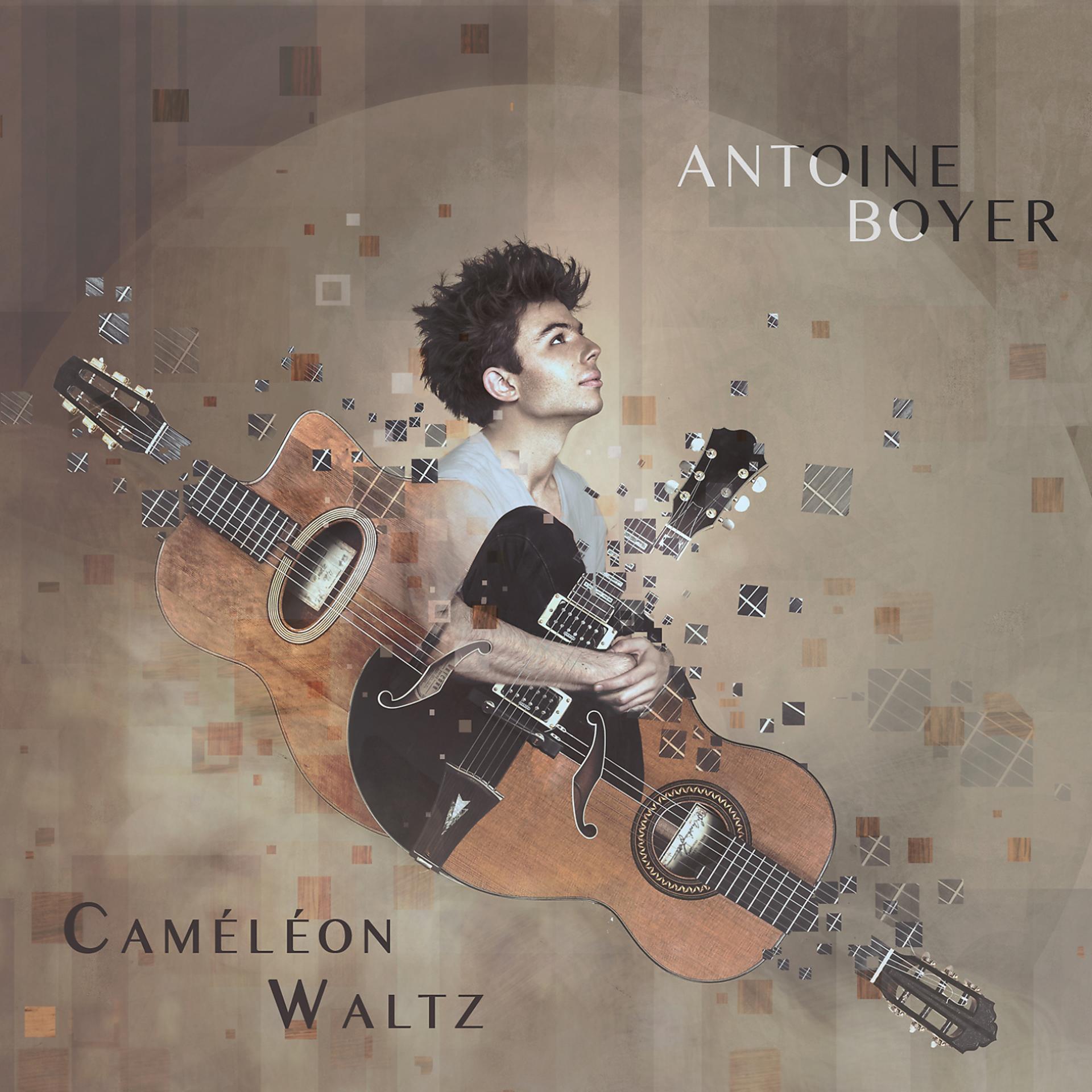 Постер альбома Caméléon Waltz