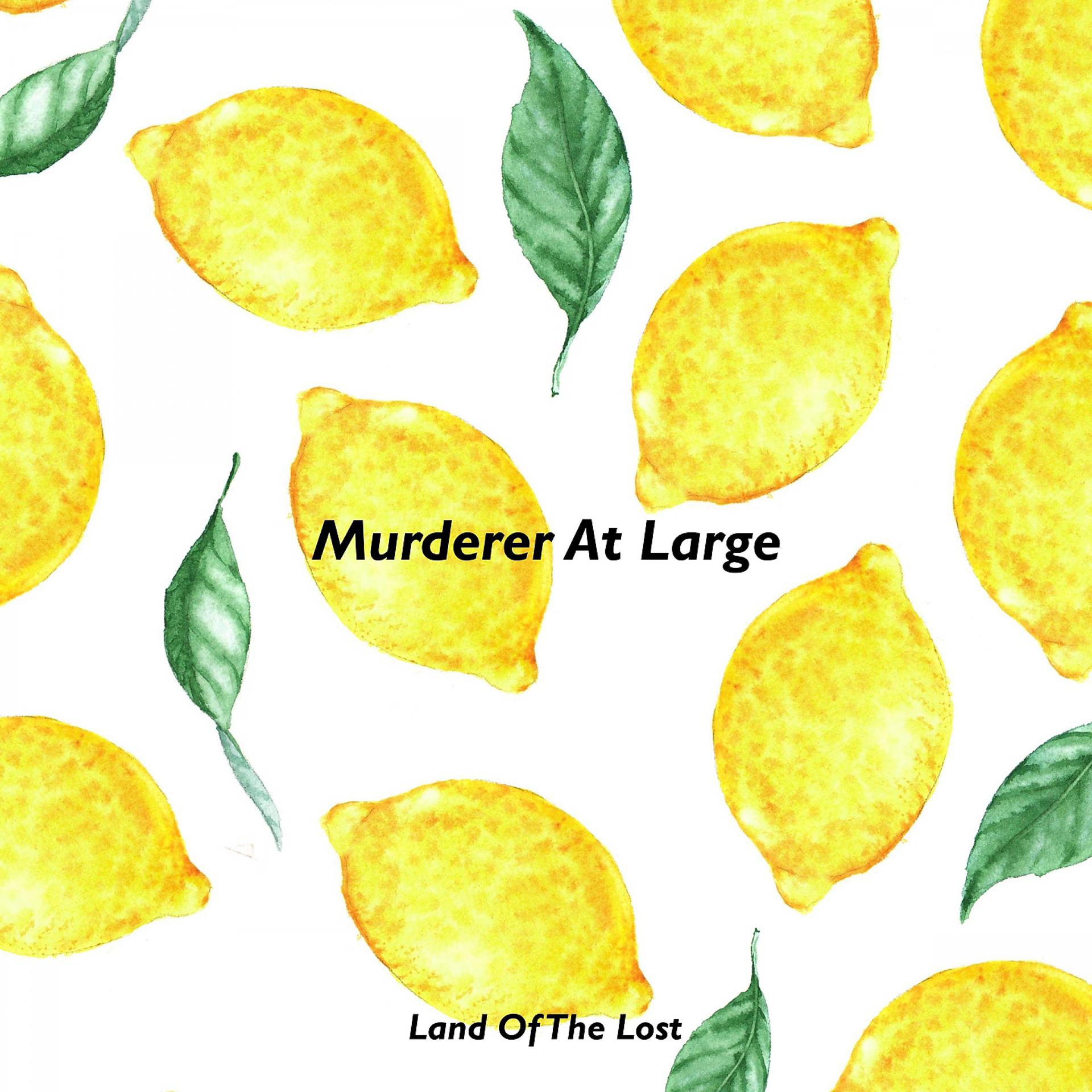 Постер альбома Murderer At Large