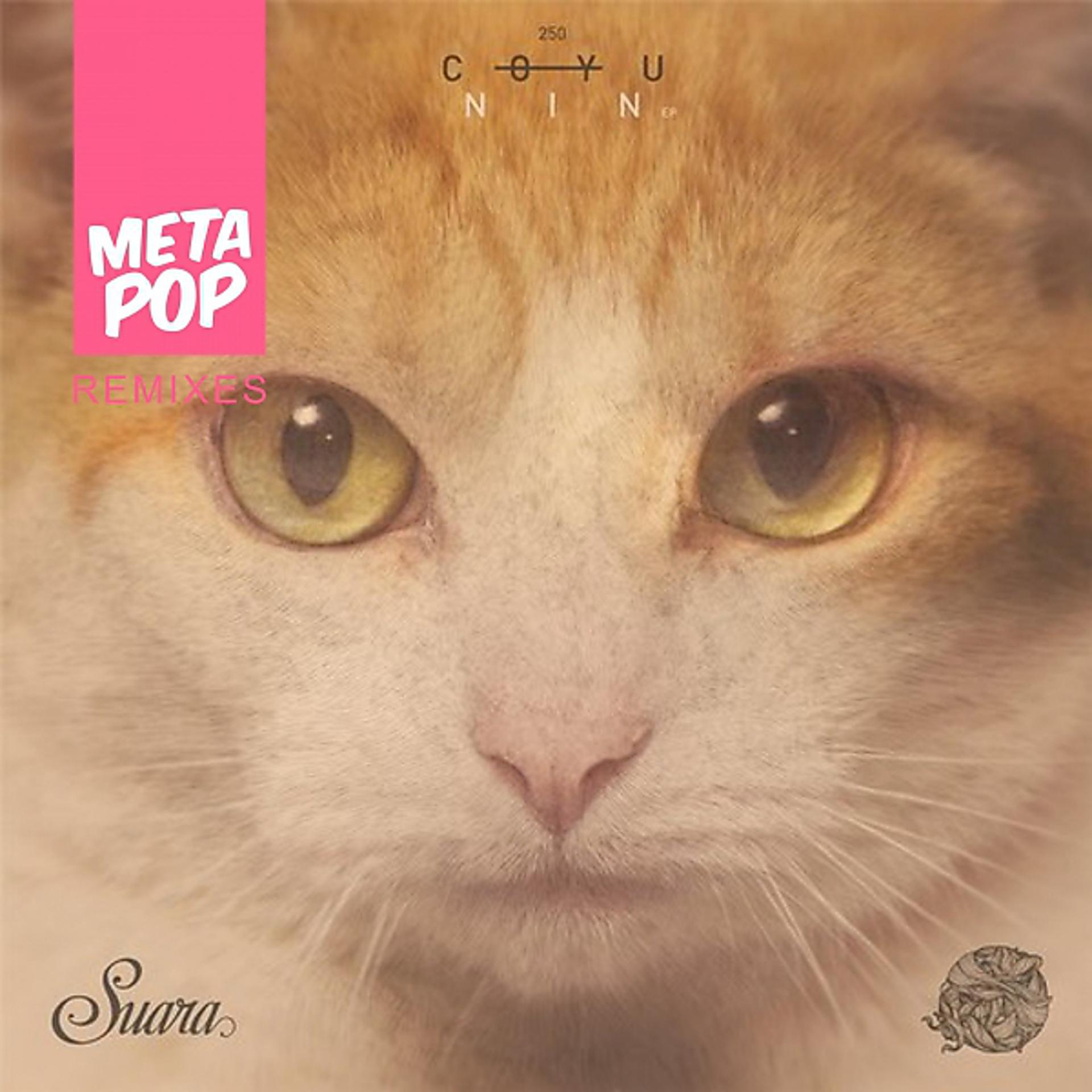 Постер альбома MetaPop Remix: Life Without You