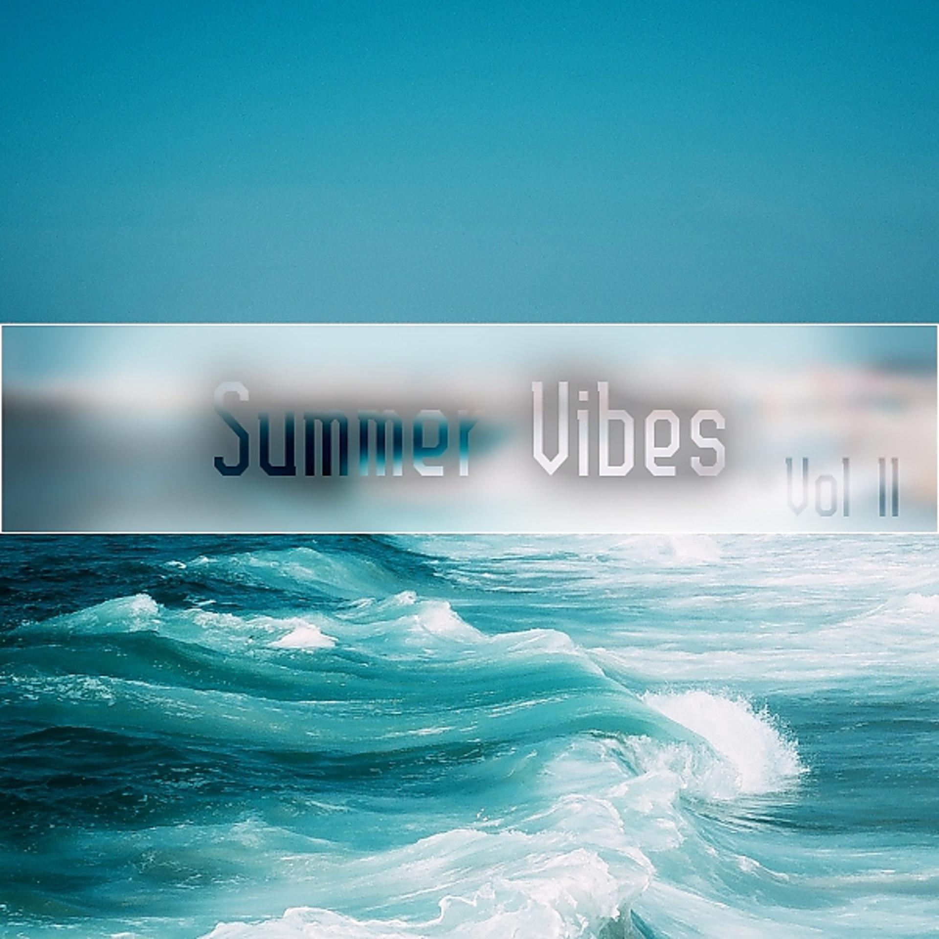 Постер альбома Summer Vibes,Vol.11