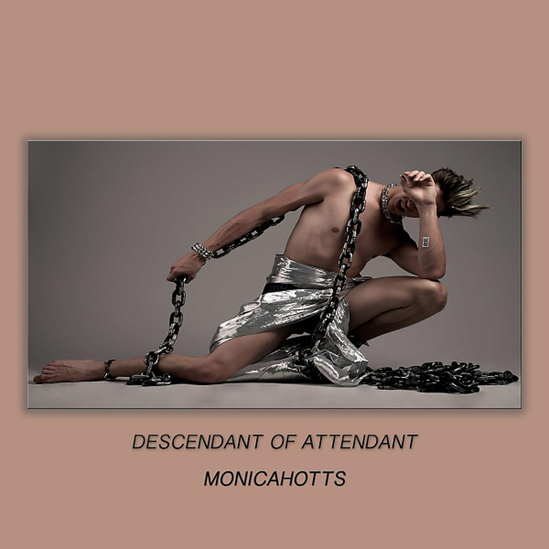 Постер альбома Descendant Of Attendant