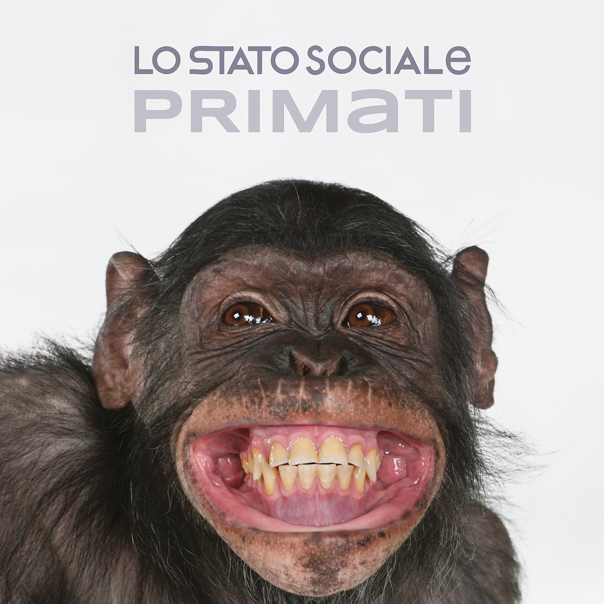Постер альбома Primati