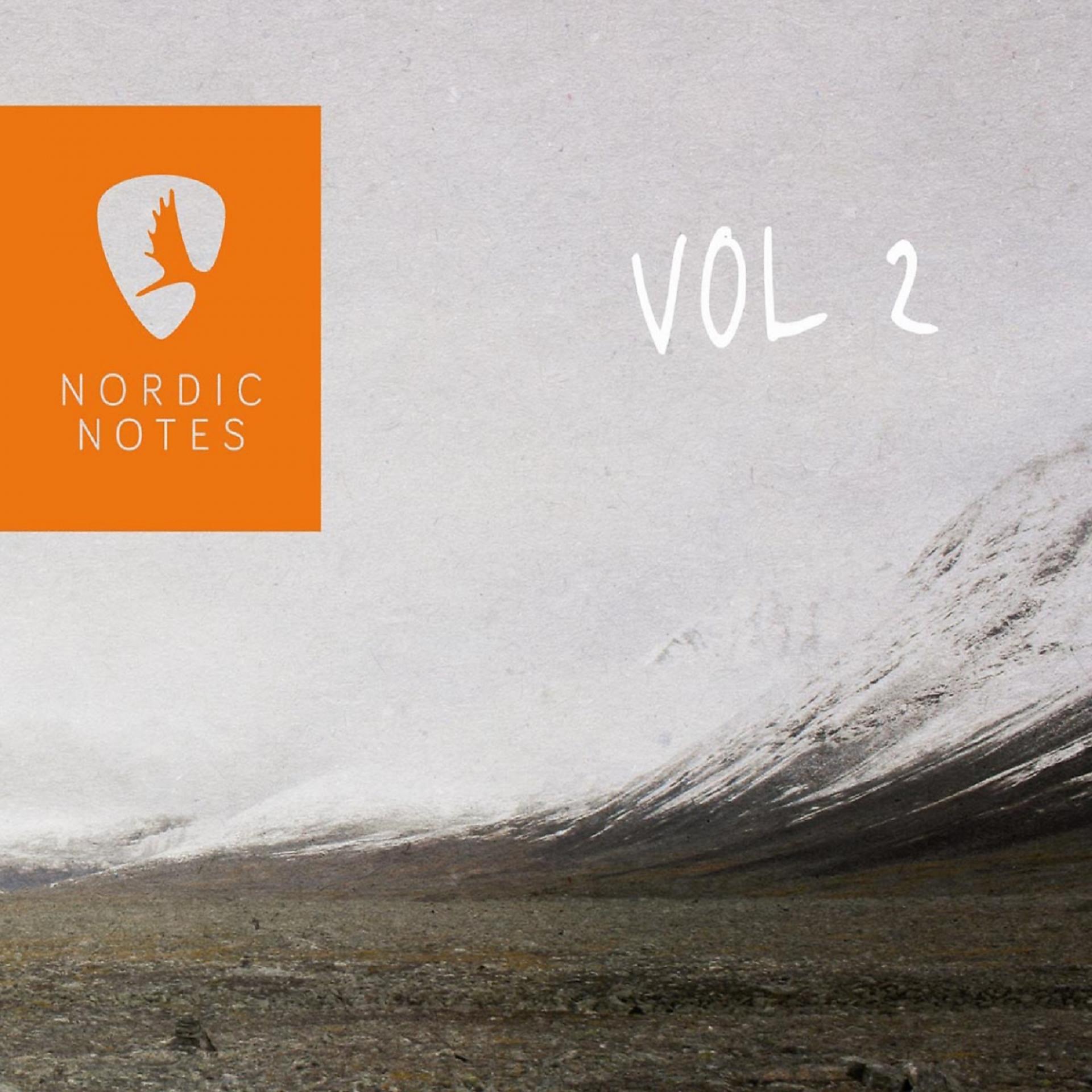 Постер альбома Nordic Notes, Vol. 2
