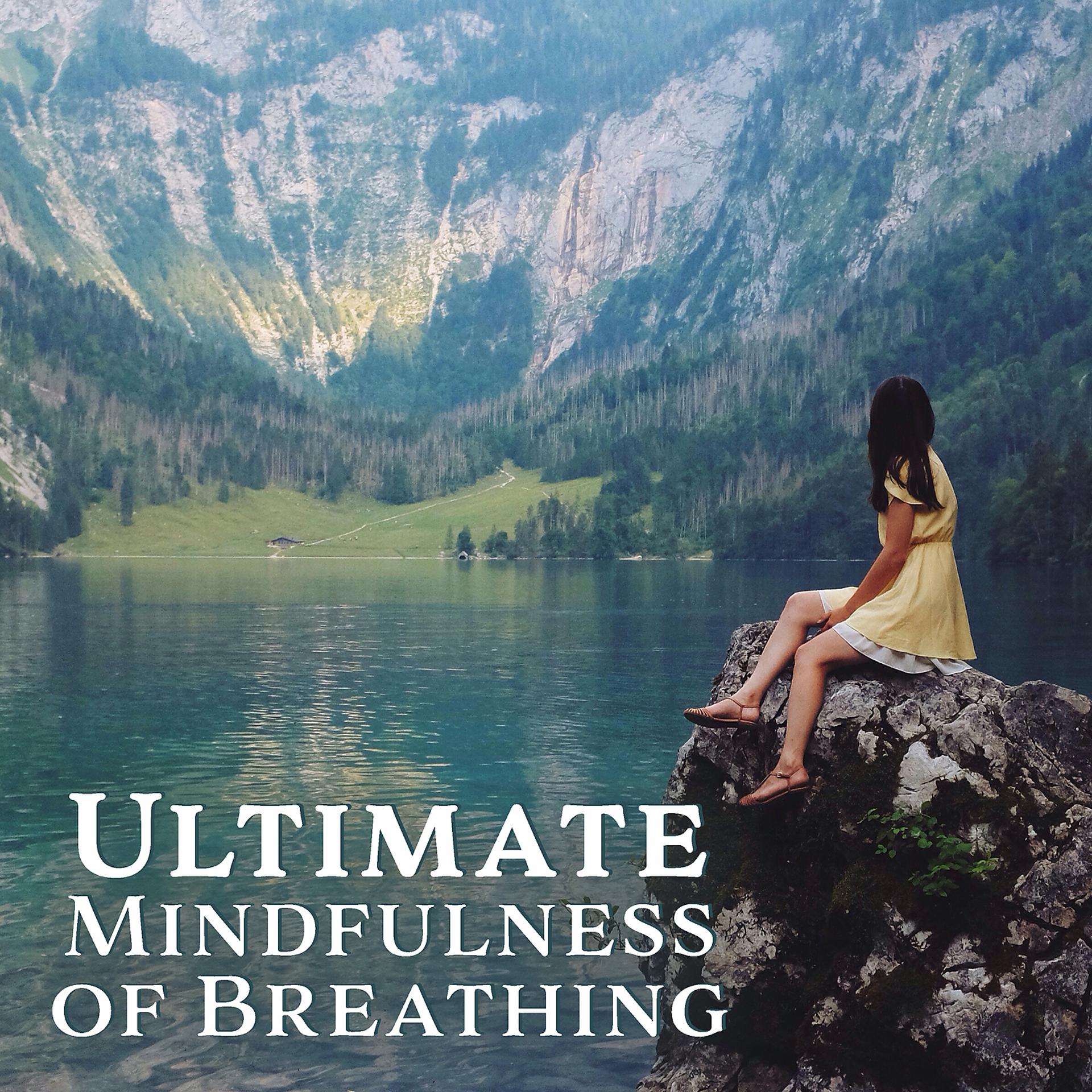 Постер альбома Ultimate Mindfulness of Breathing: 50 Relaxing Music of Nature for Deep Meditation, Yoga, Healing Therapy & Relaxation