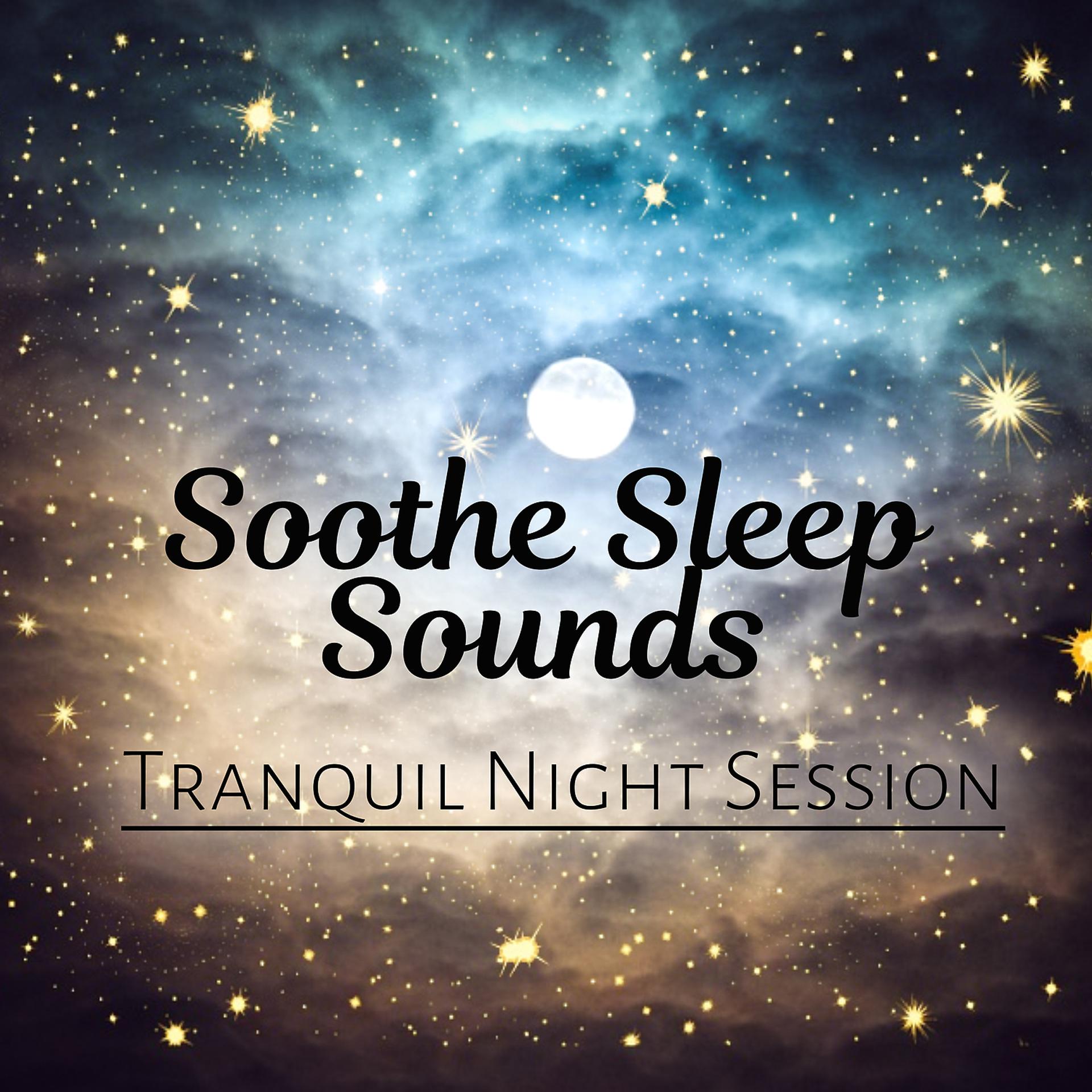 Постер альбома Soothe Sleep Sounds: Tranquil Night Session, Serenity Healing Music, Deep Sleep, Insomnia Cure