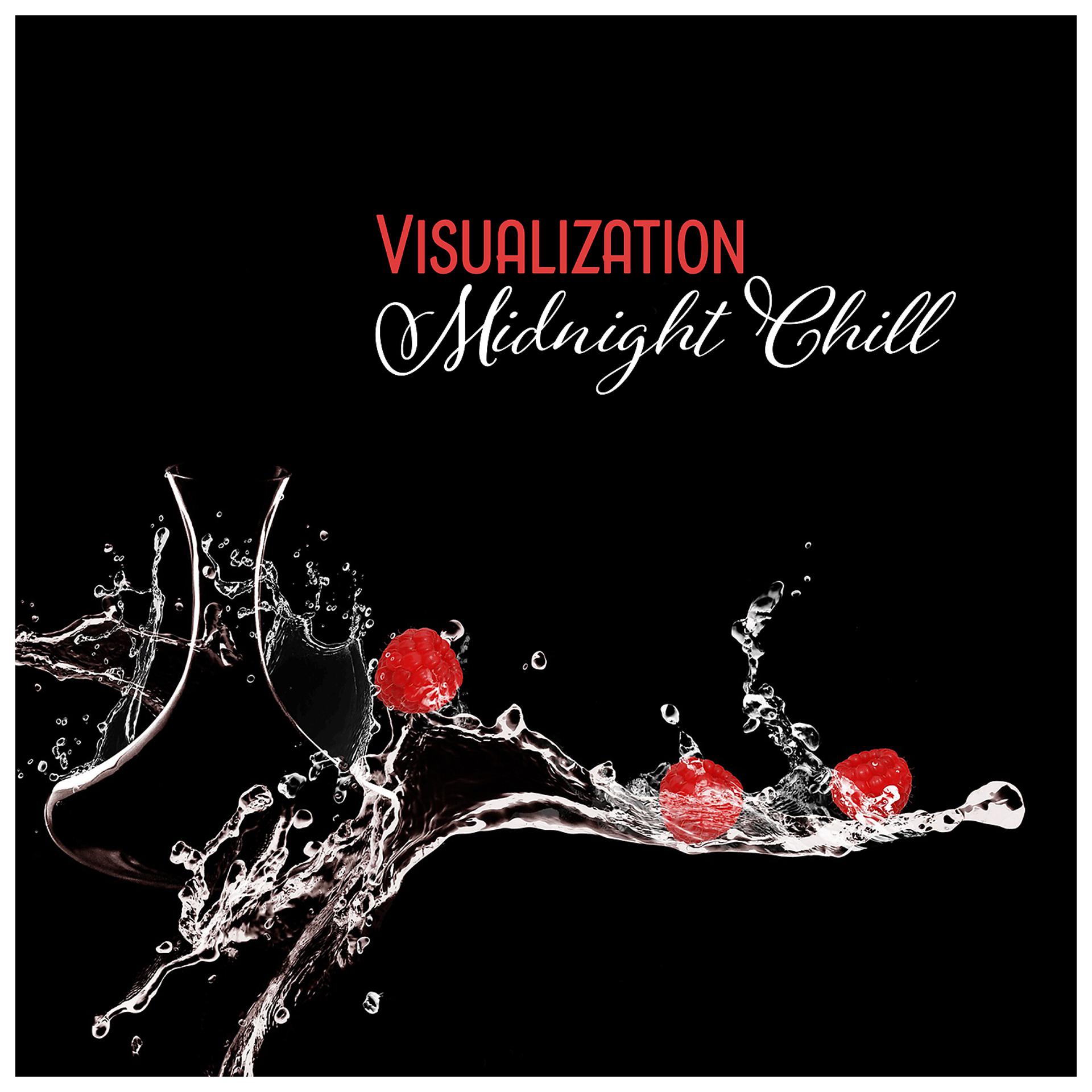 Постер альбома Visualization – Midnight Chill