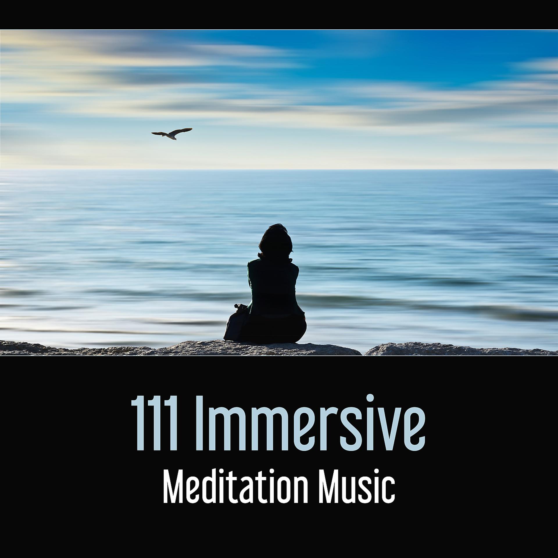 Постер альбома 111 Immersive Meditation Music - Being Present Through Mindfulness, Cycle of Abundance, Relieving Things, Inner Harmony