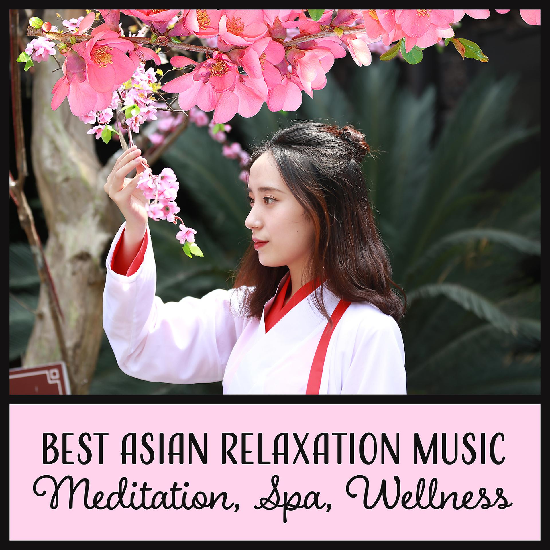 Постер альбома Best Asian Relaxation Music: Meditation, Spa, Wellness