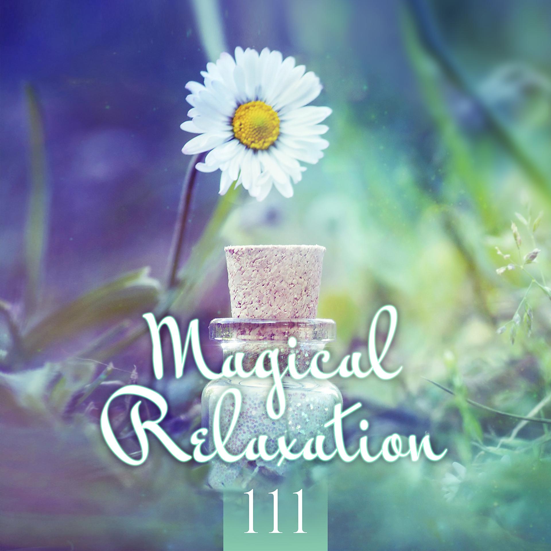 Постер альбома Magical Relaxation 111: Simply Relax, Grab the Moment, Feel Happiness & Serenity Around You